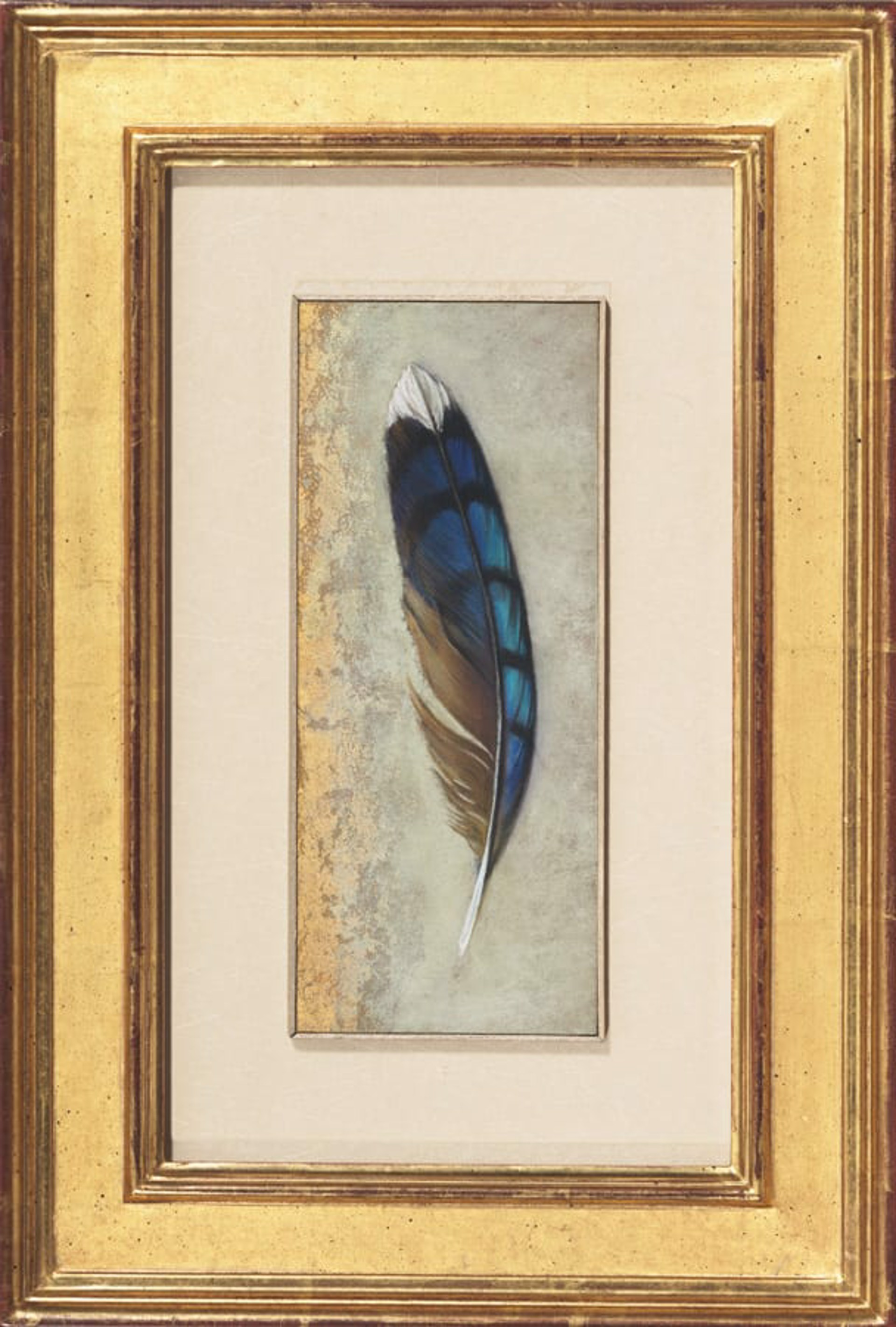 Blue Jay Feather I by Anne McGrory