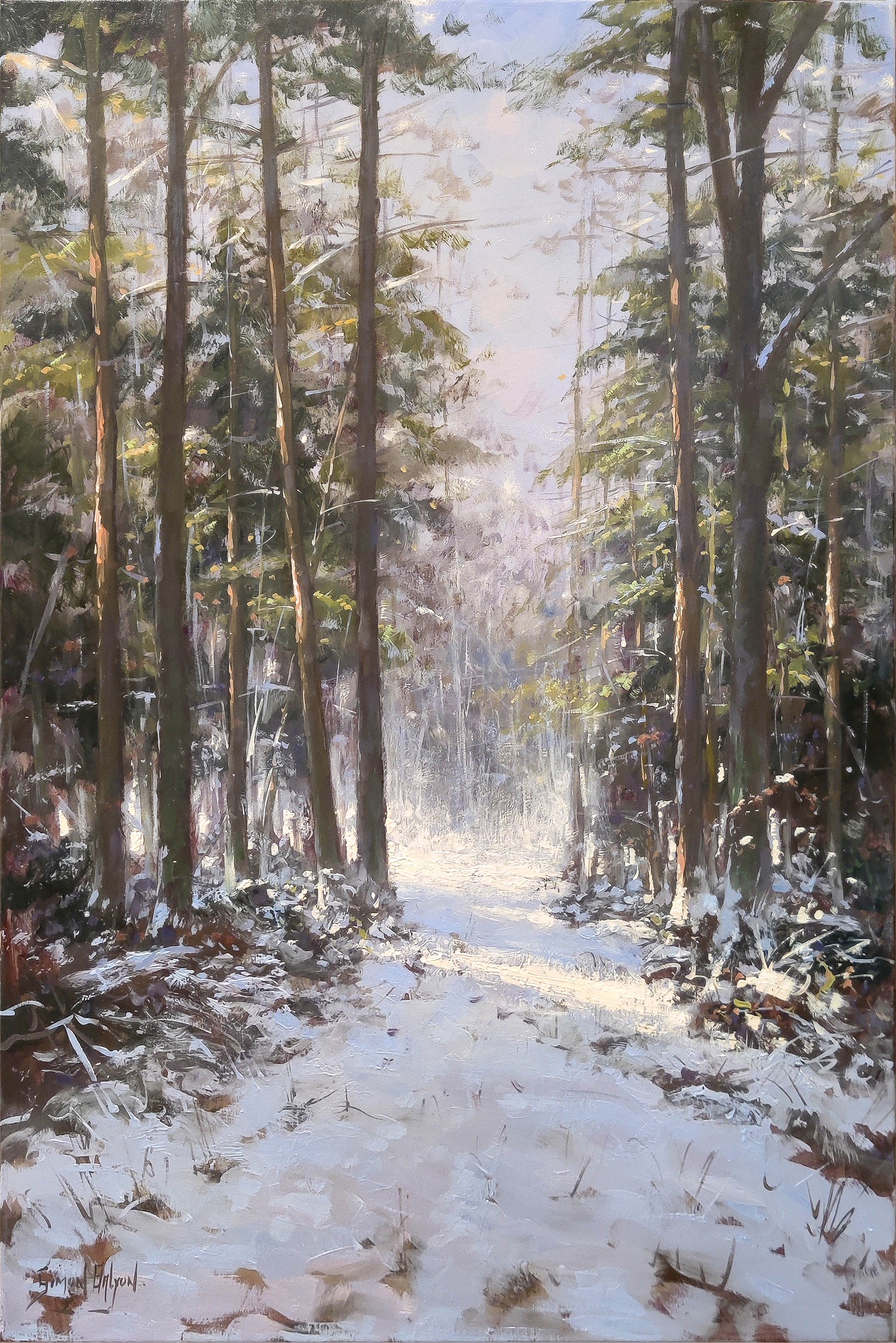 Forest - Winter Scene by Simon Balyon