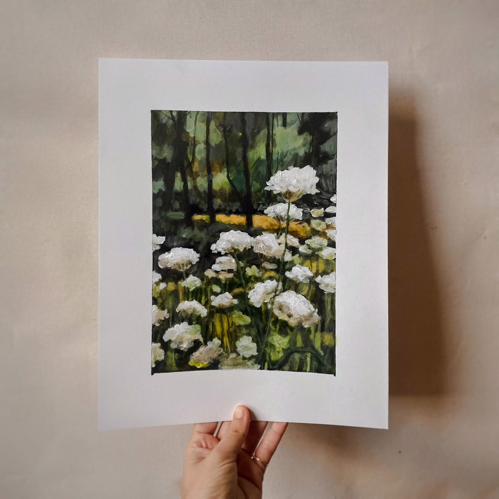 Queen Anne's Lace by Emma Ballou