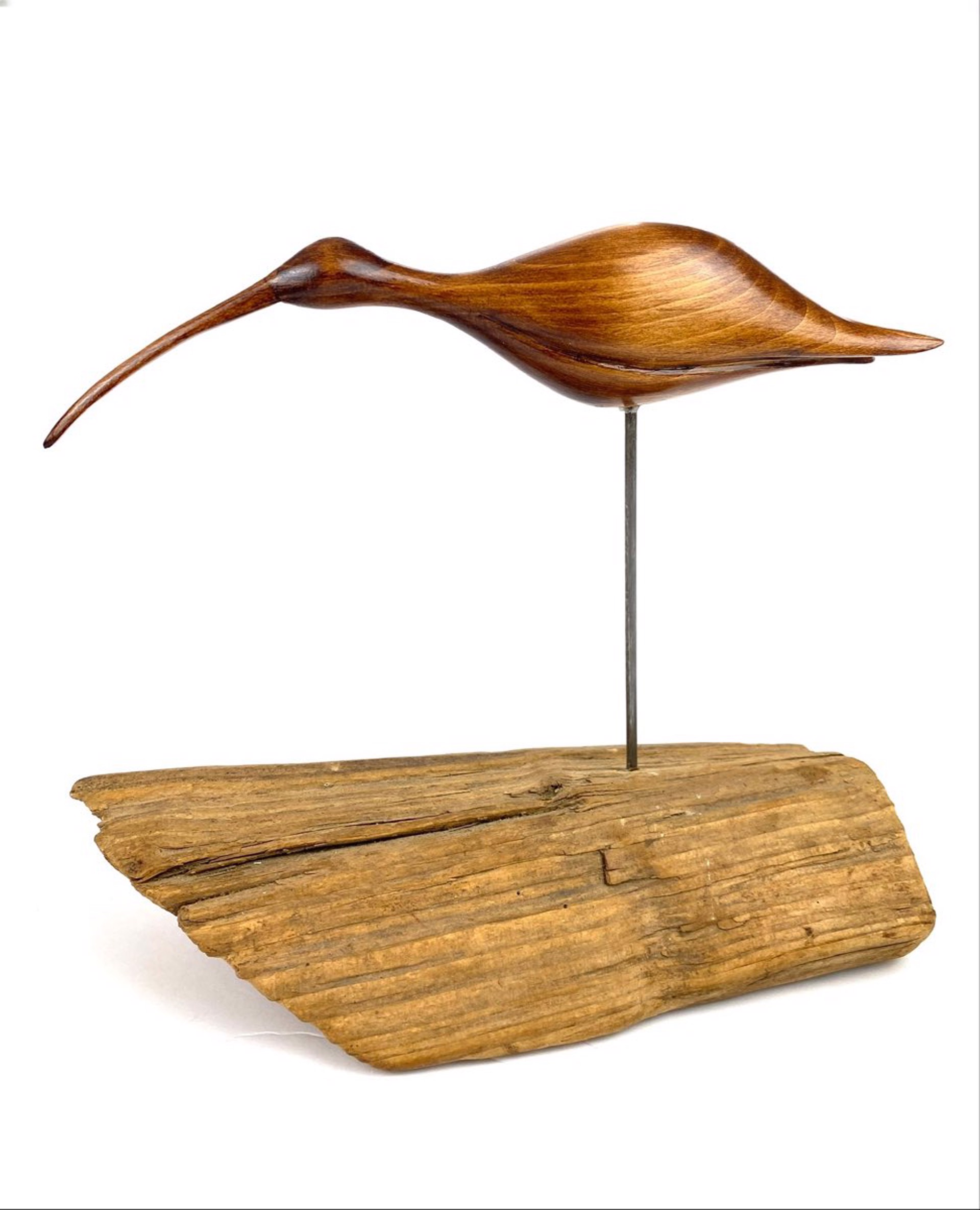 Long Look Shore Bird by Jon Cordes
