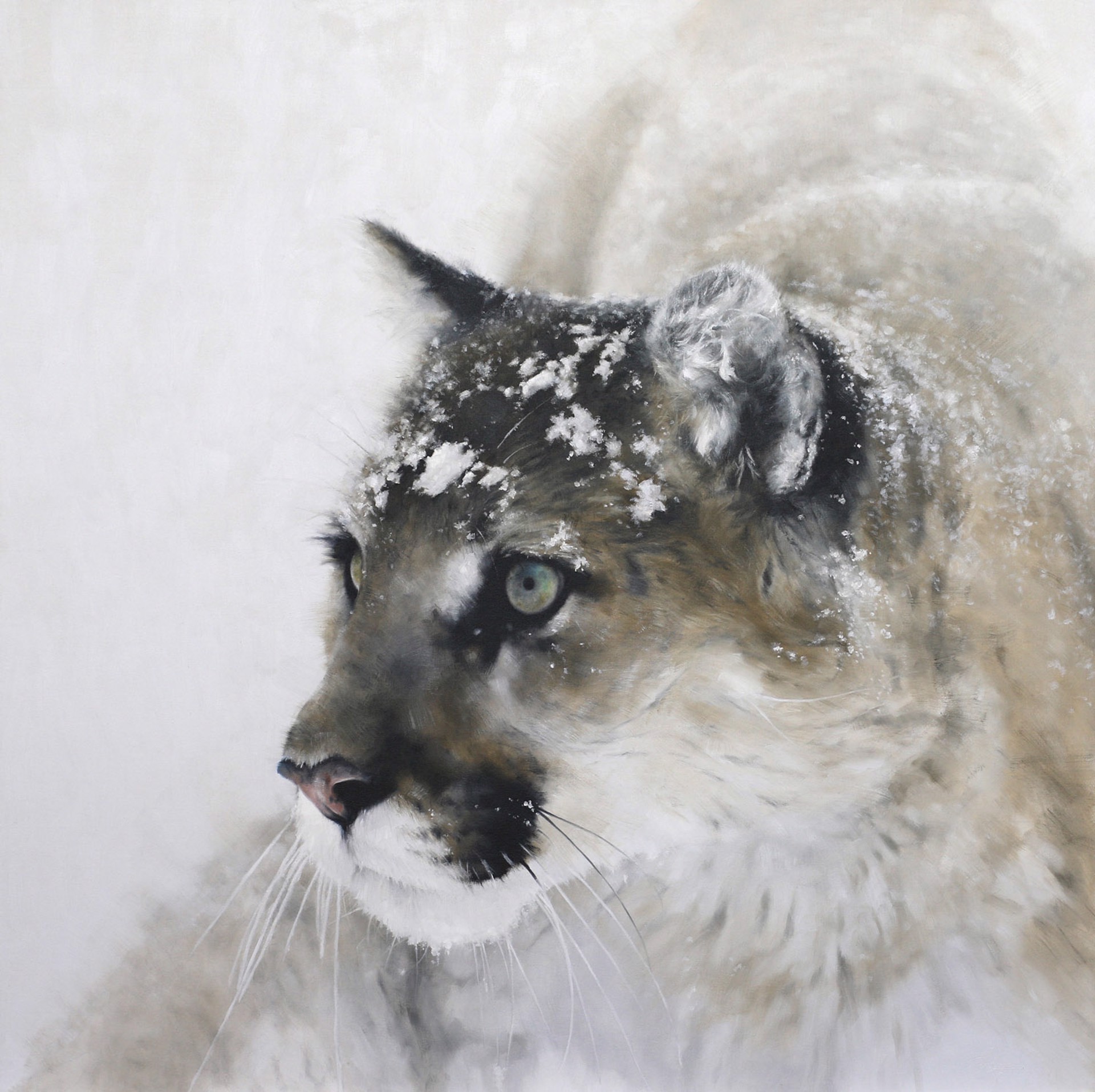 A Contemporary Black And White Painting Of A Mountain Lion Portrait In The Snow By Doyle Hostetler At Gallery Wild