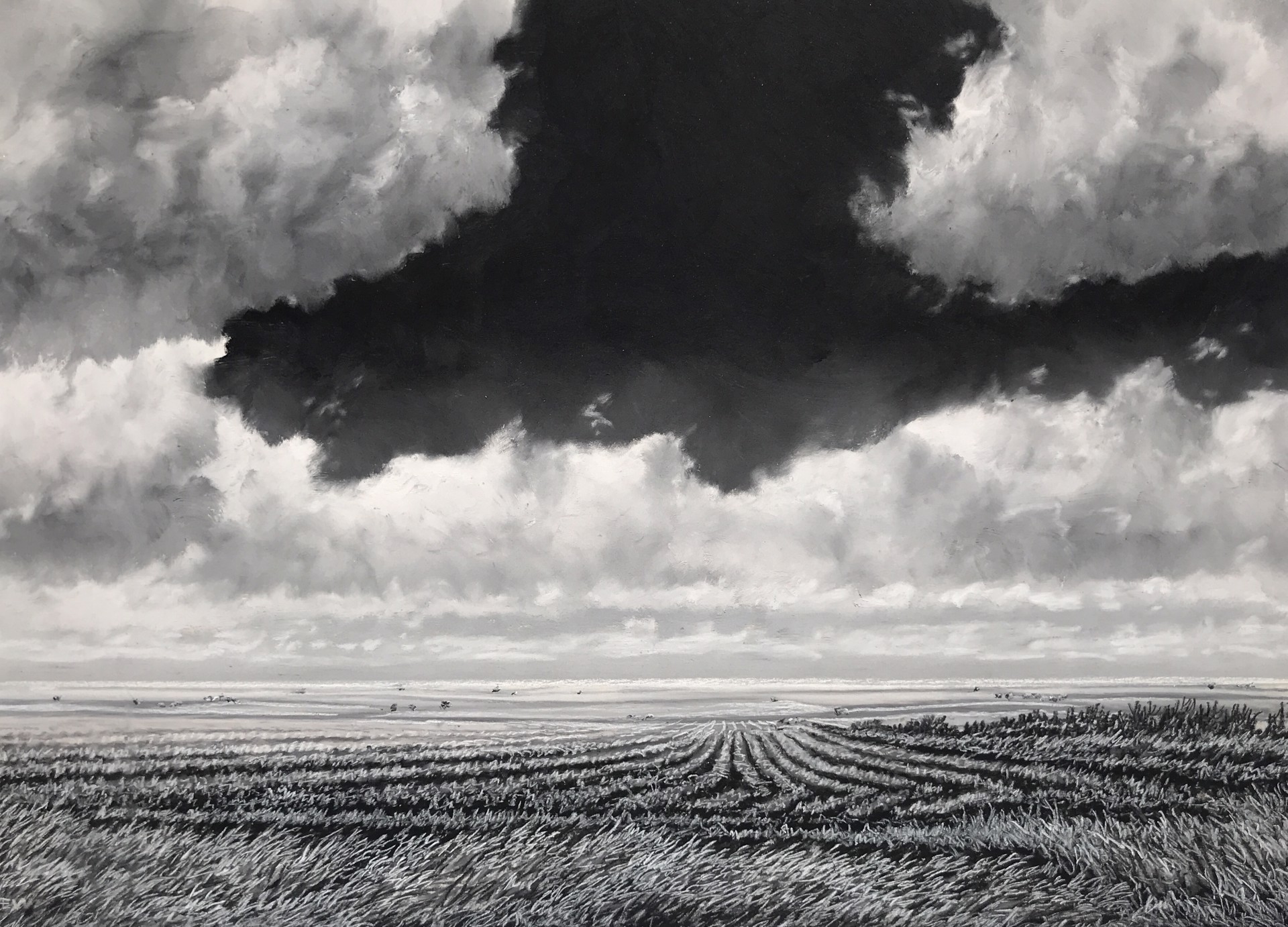 Drifting Clouds in a Midsummer Daydream by Ellen Wagener
