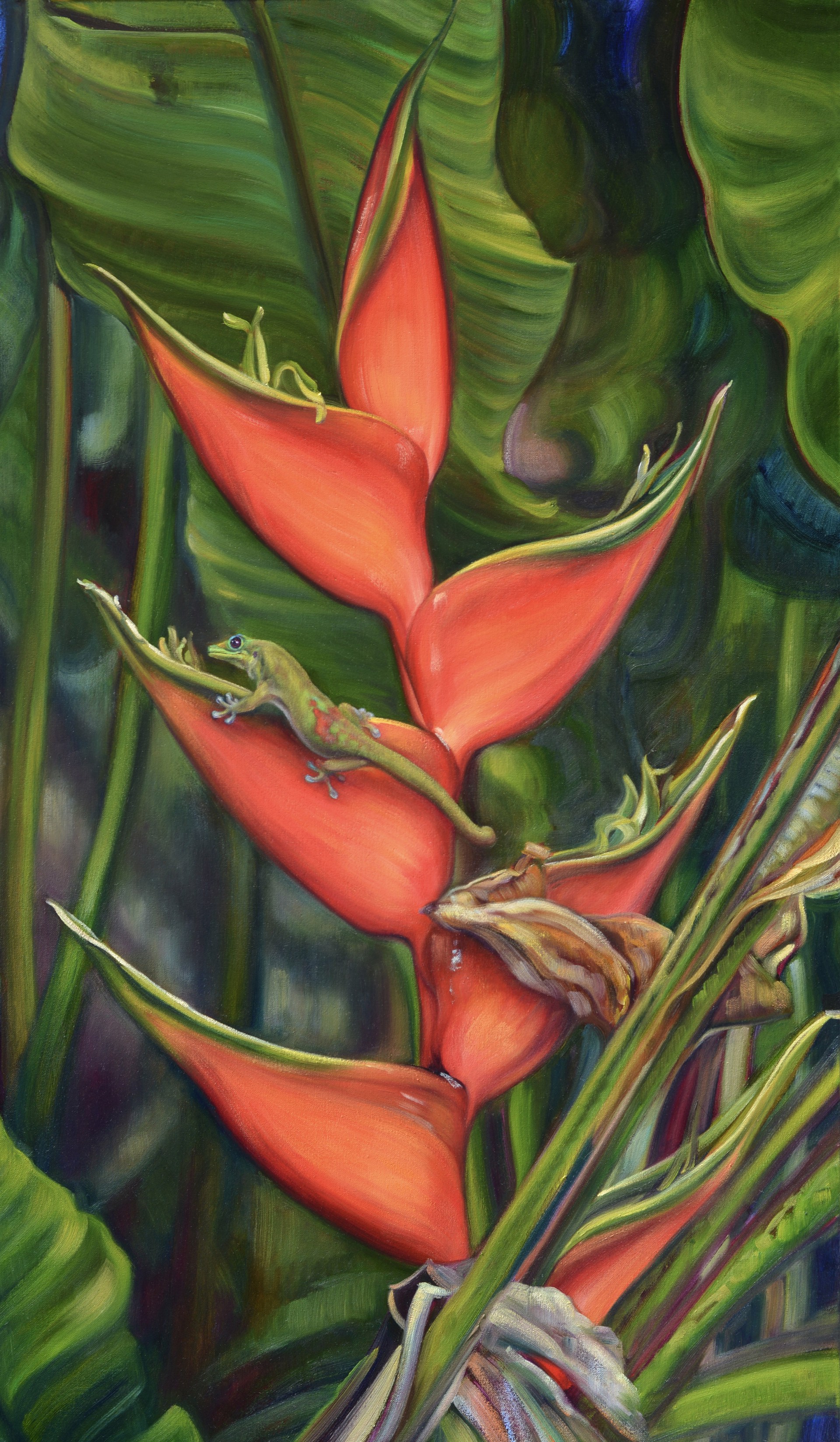 Gecko And Heliconia by Caroline Zimmermann