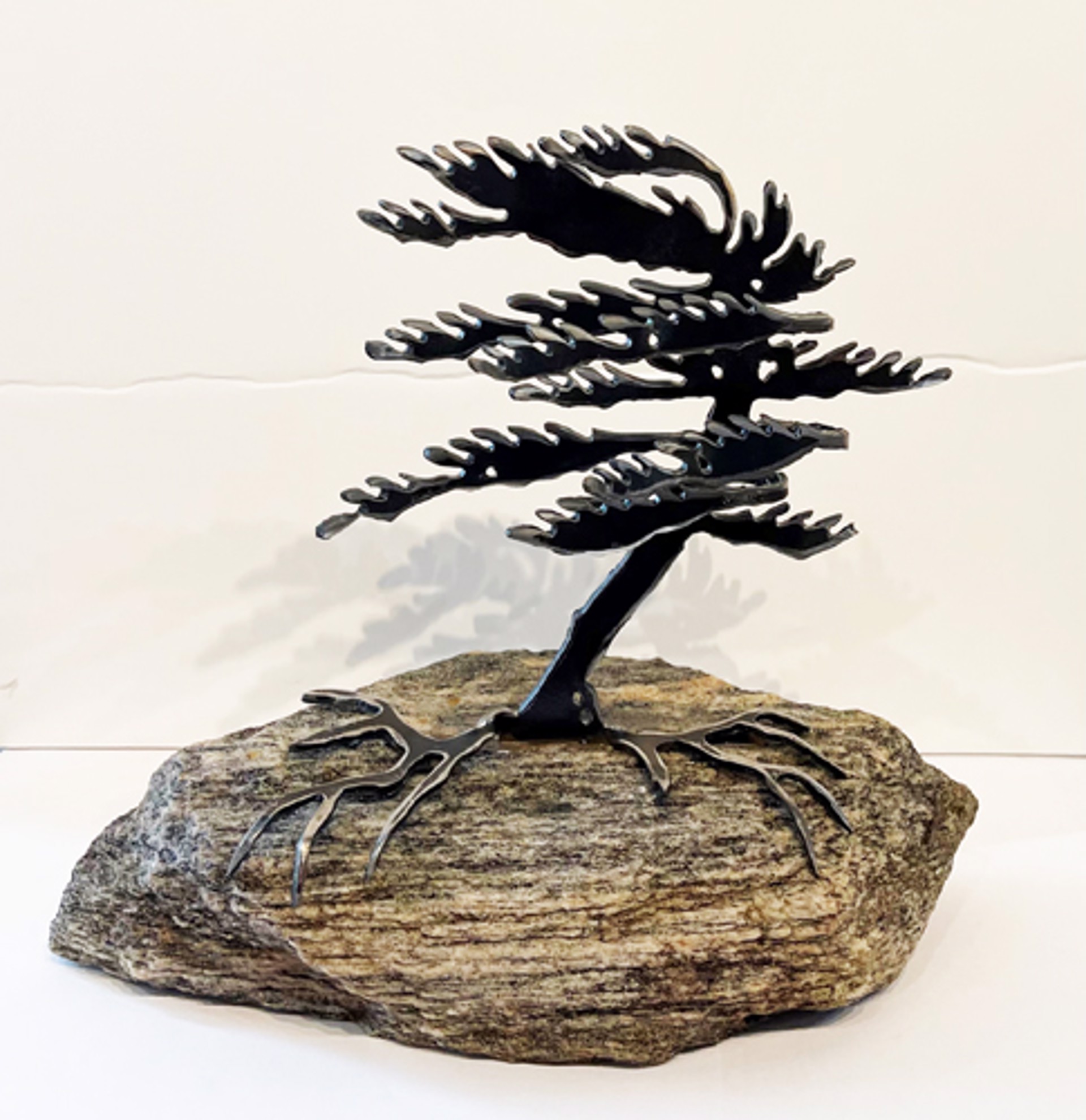 Windswept Pine 659515 by Cathy Mark