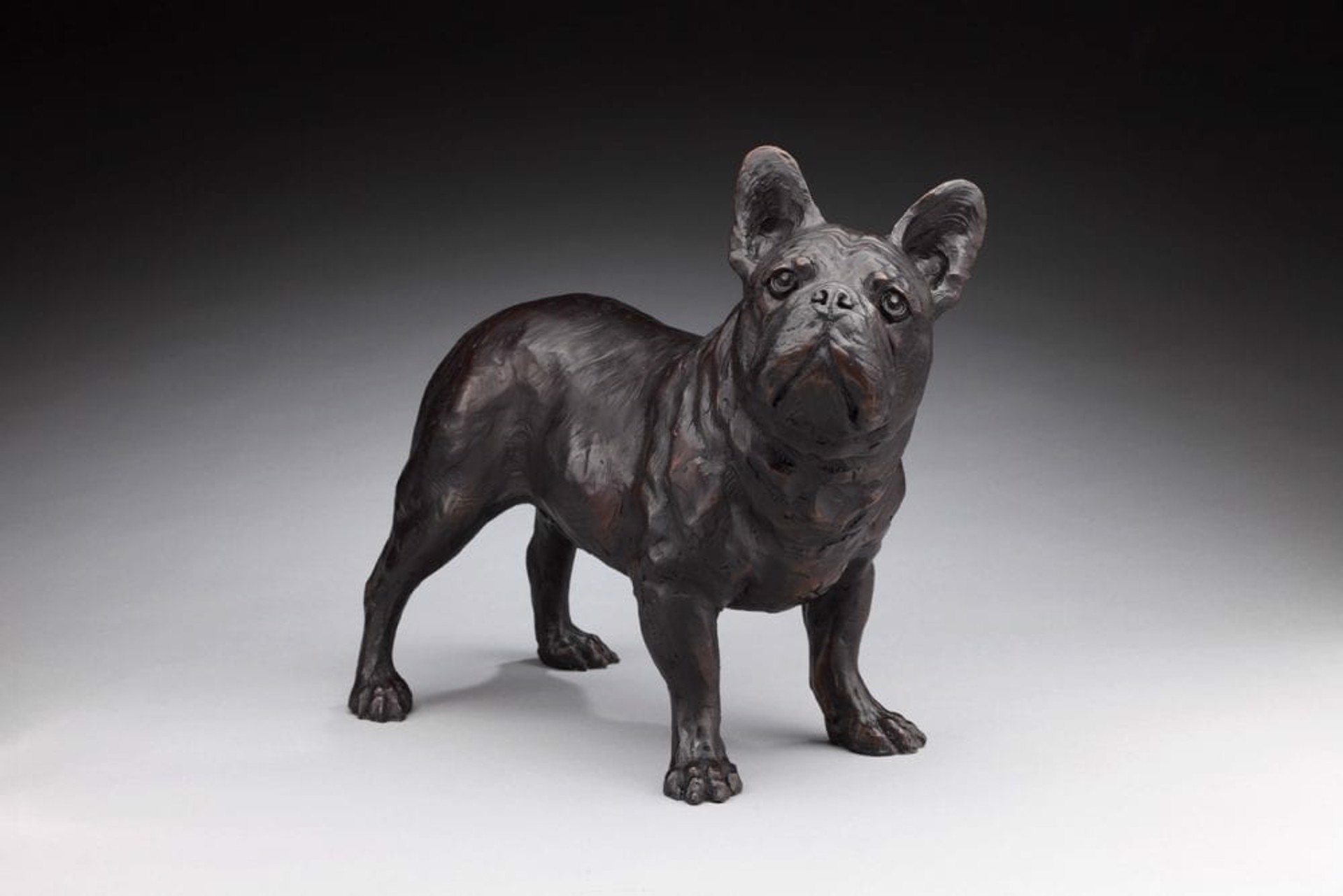 French Bulldog by Daniel Glanz (sculptor)
