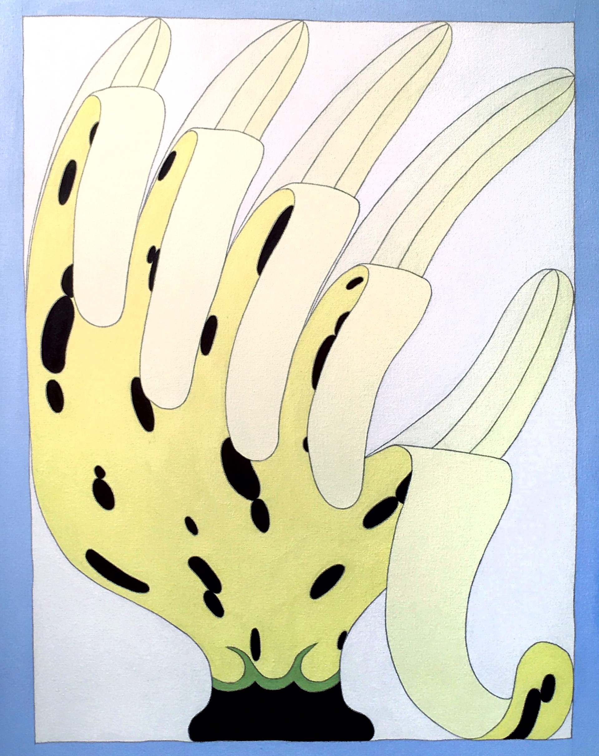 Banana Glove by David Onri Anderson