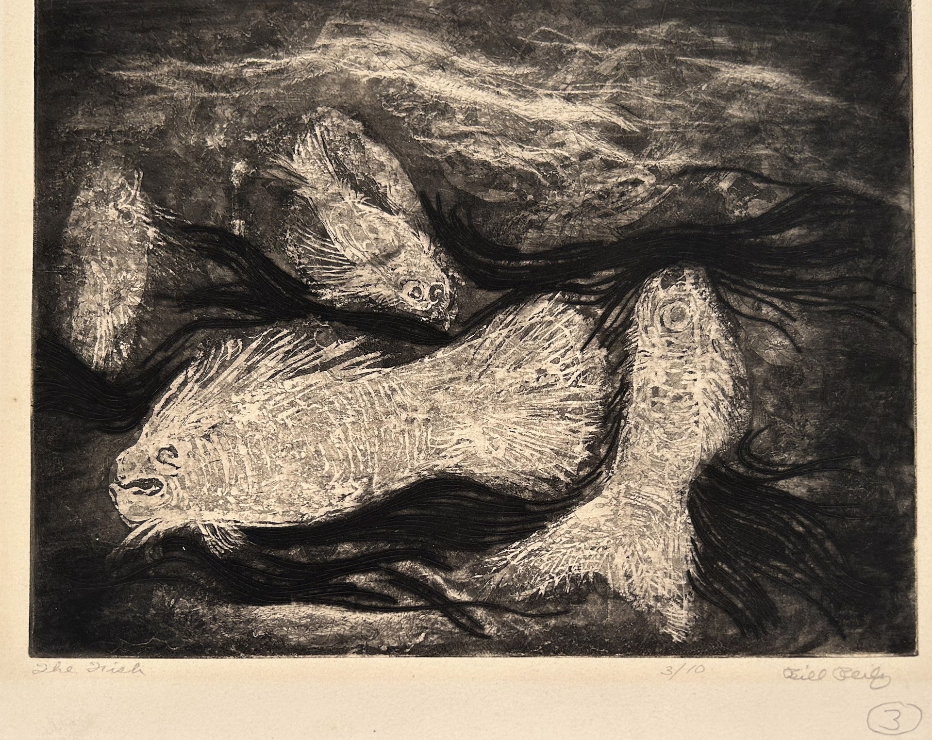3c. The Fish (3/10) by Bill Reily - Prints