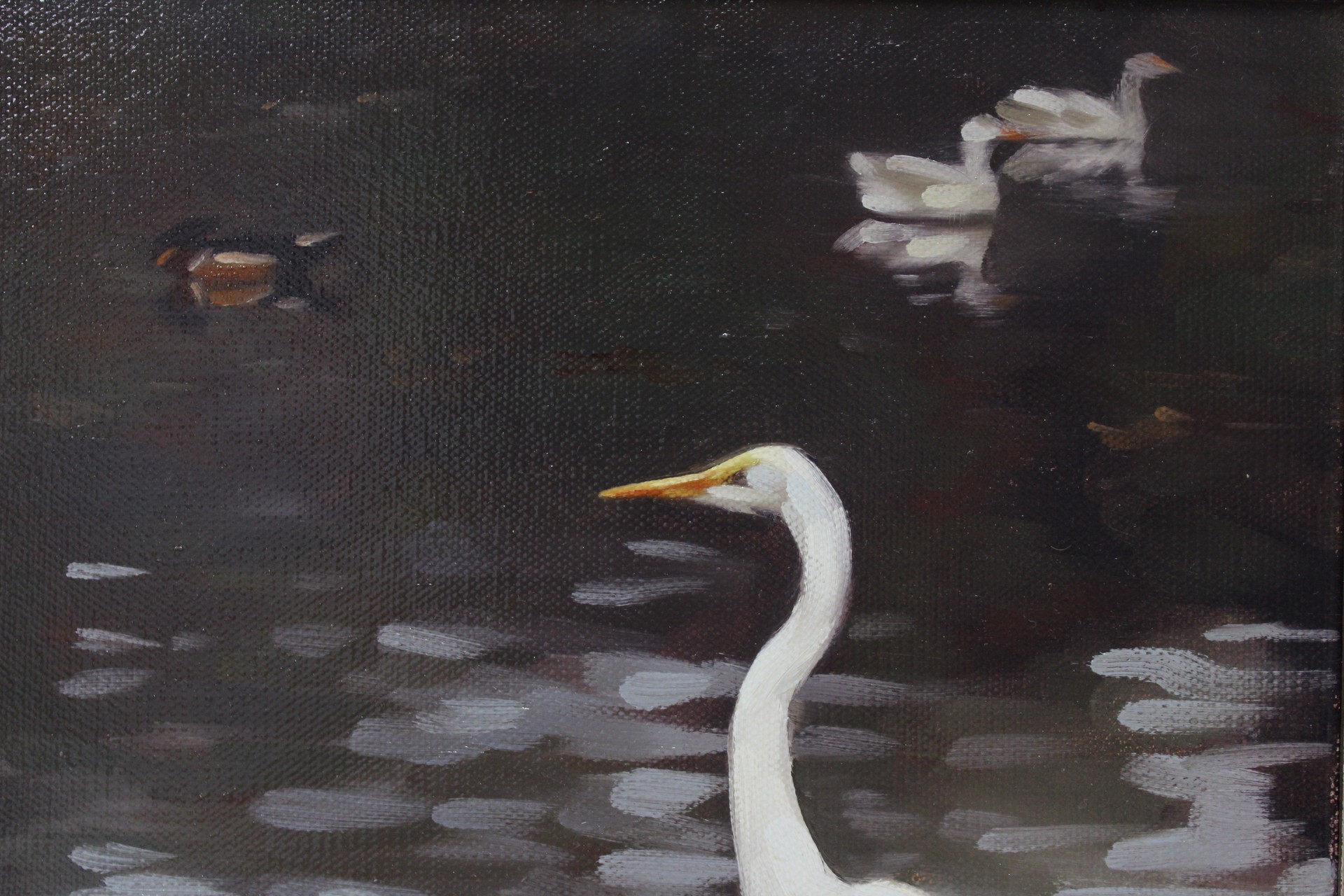 Egret, Audubon Lagoon by Elizabeth McMillan