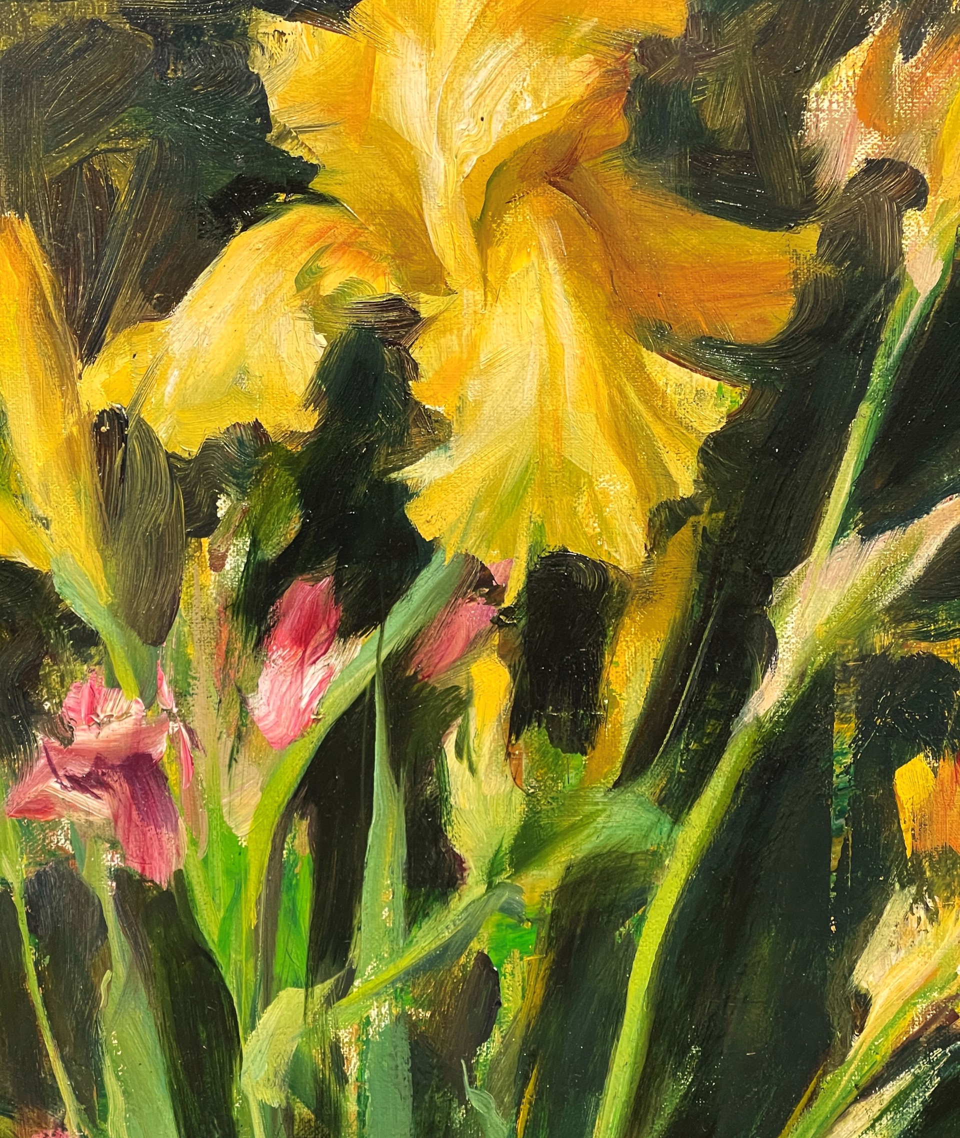 Irises by Quang Ho