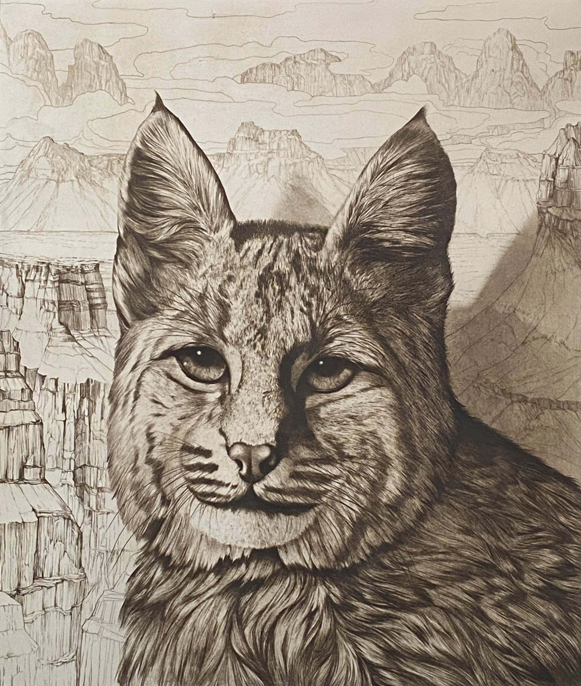 Bobcat by Tom Palmore