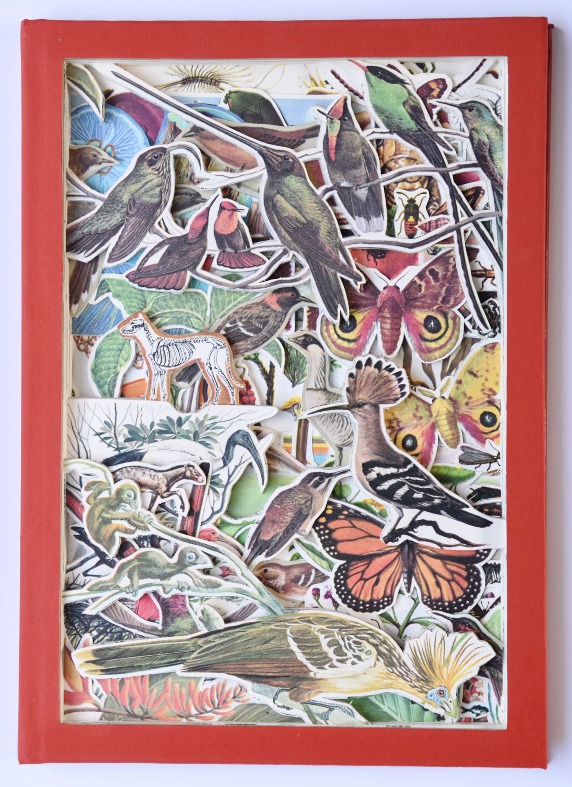 Bird Sanctuary by James Allen