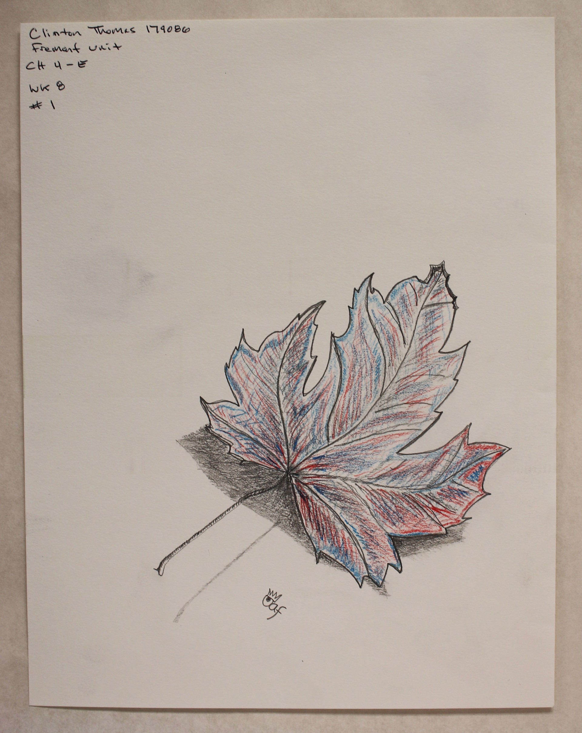 Leaf by Clinton Thomas