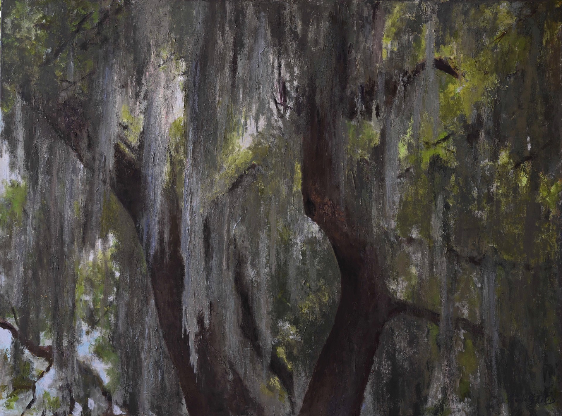 Ode to Spanish Moss by Linda Peters