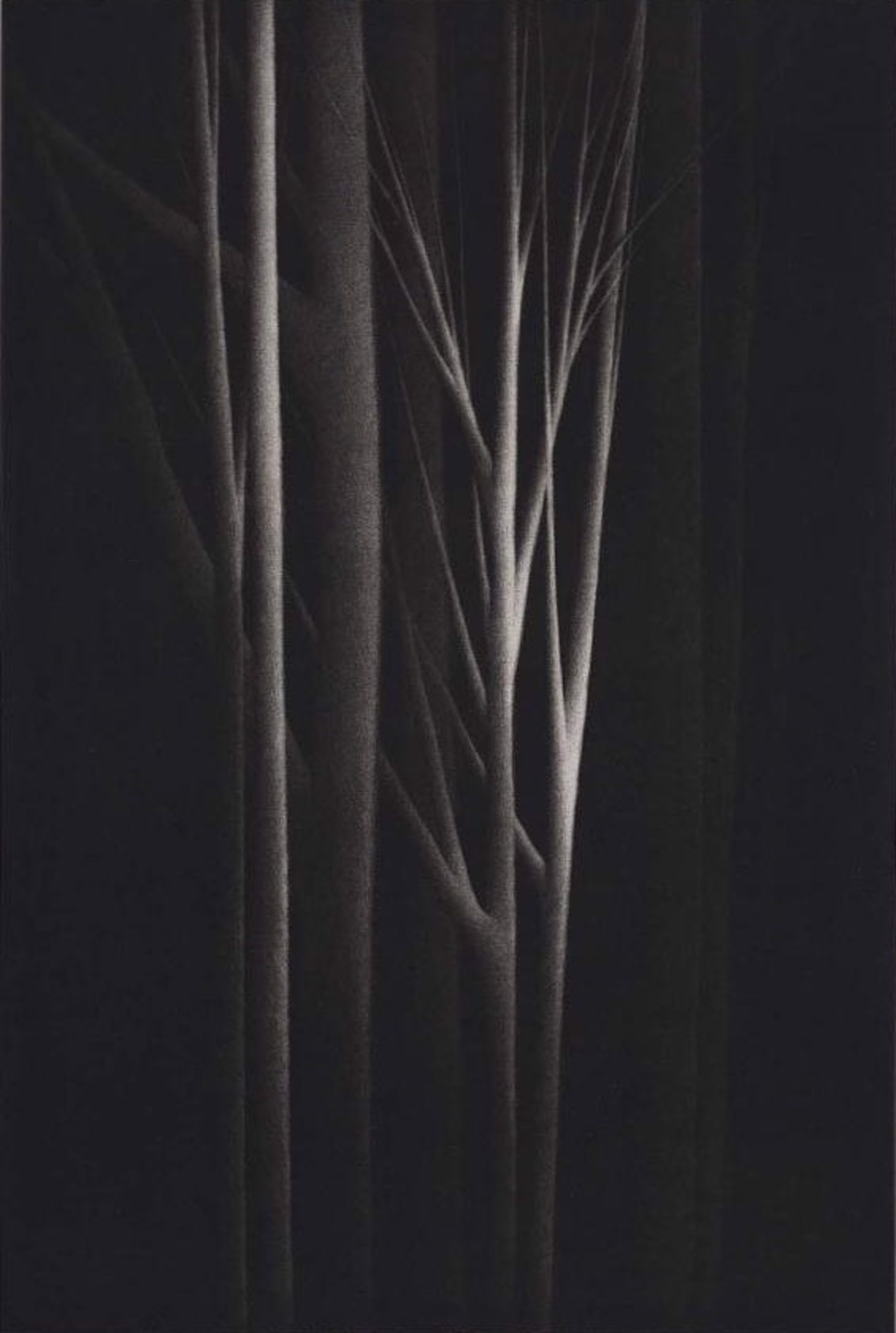 Forest Nocturne IV by Robert Kipniss