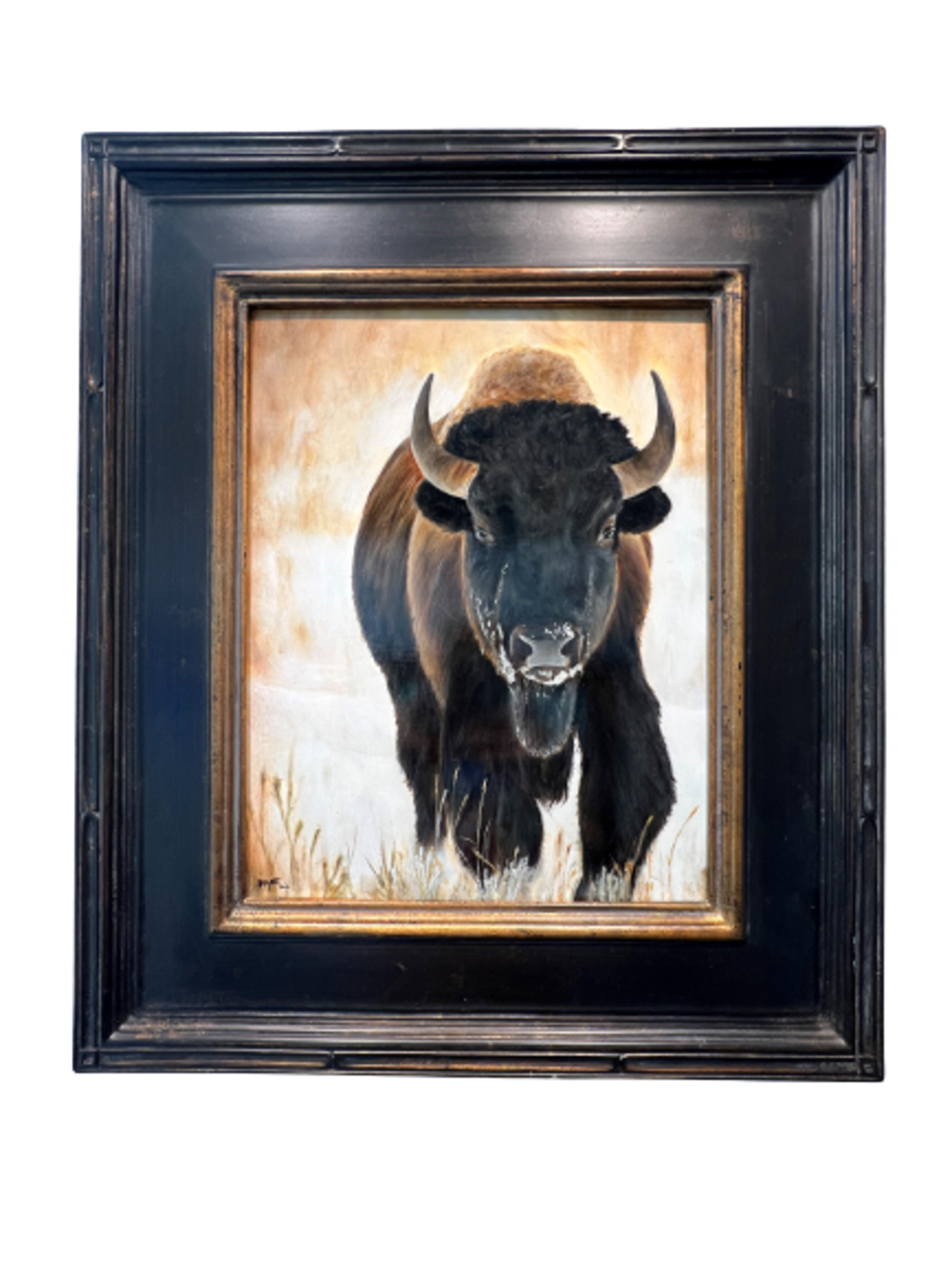 Bison by Todd Bergert