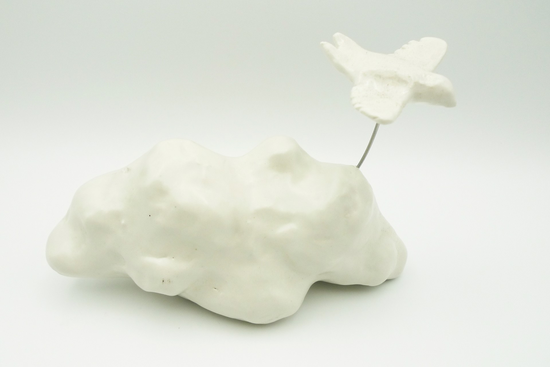 Cloud with White Bird by Debbie Kupinsky