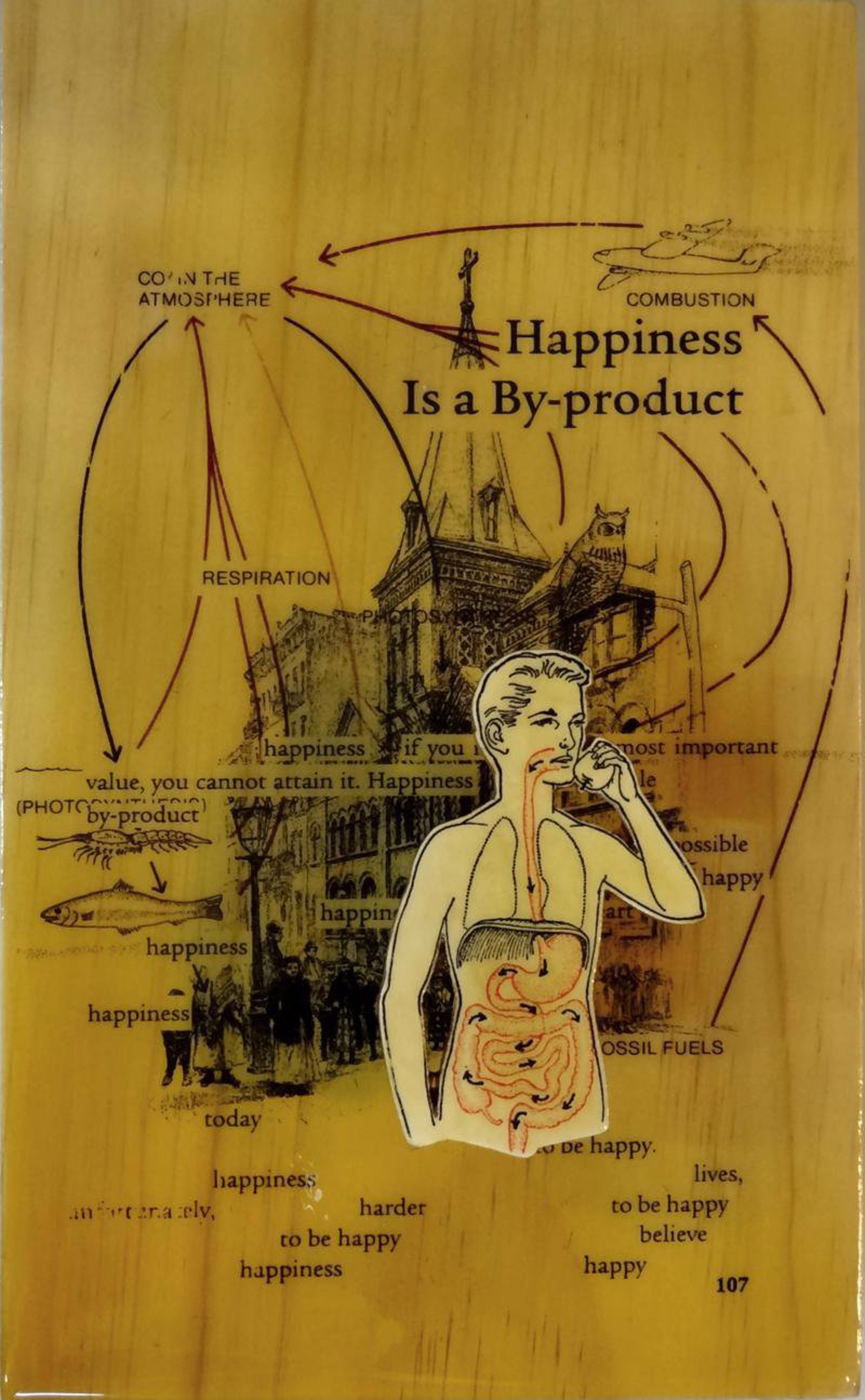 Happiness Is a By-product by Stephen Anderson