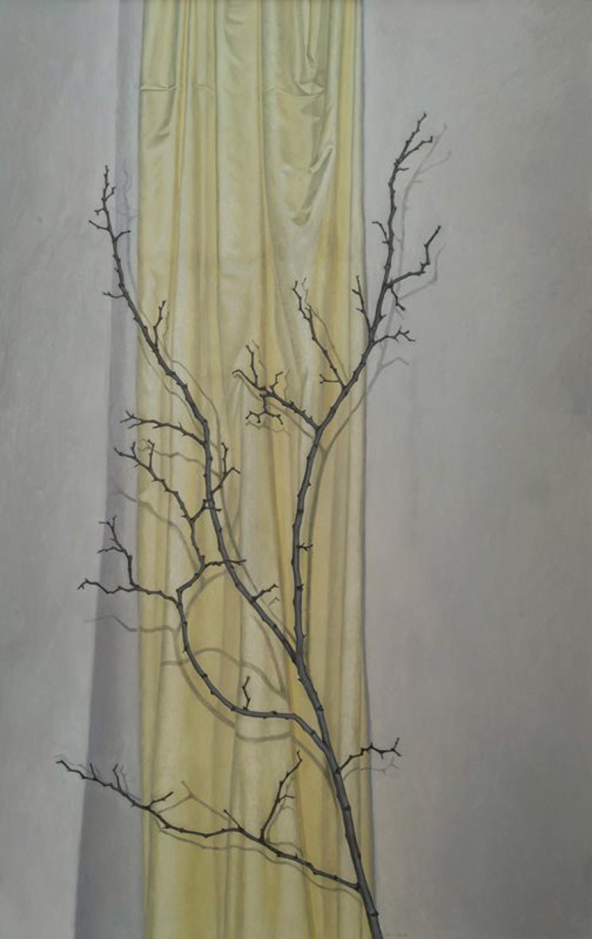 Lite on Yellow by Pedro Surroca