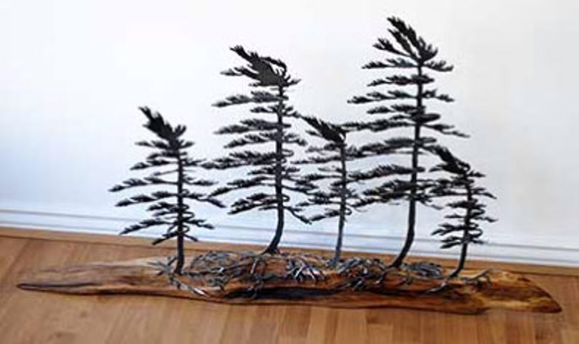 Five Windswept Pine on Maple 189977  6545 by Cathy Mark
