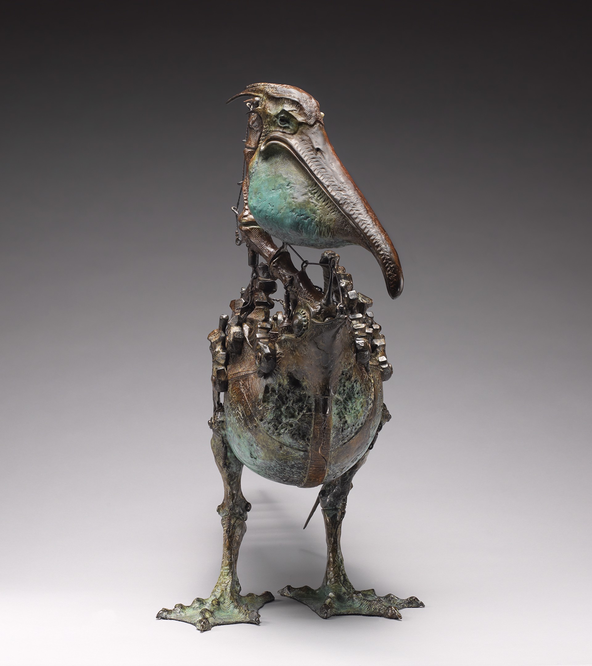 Dry Dock Pelican by David Crawford