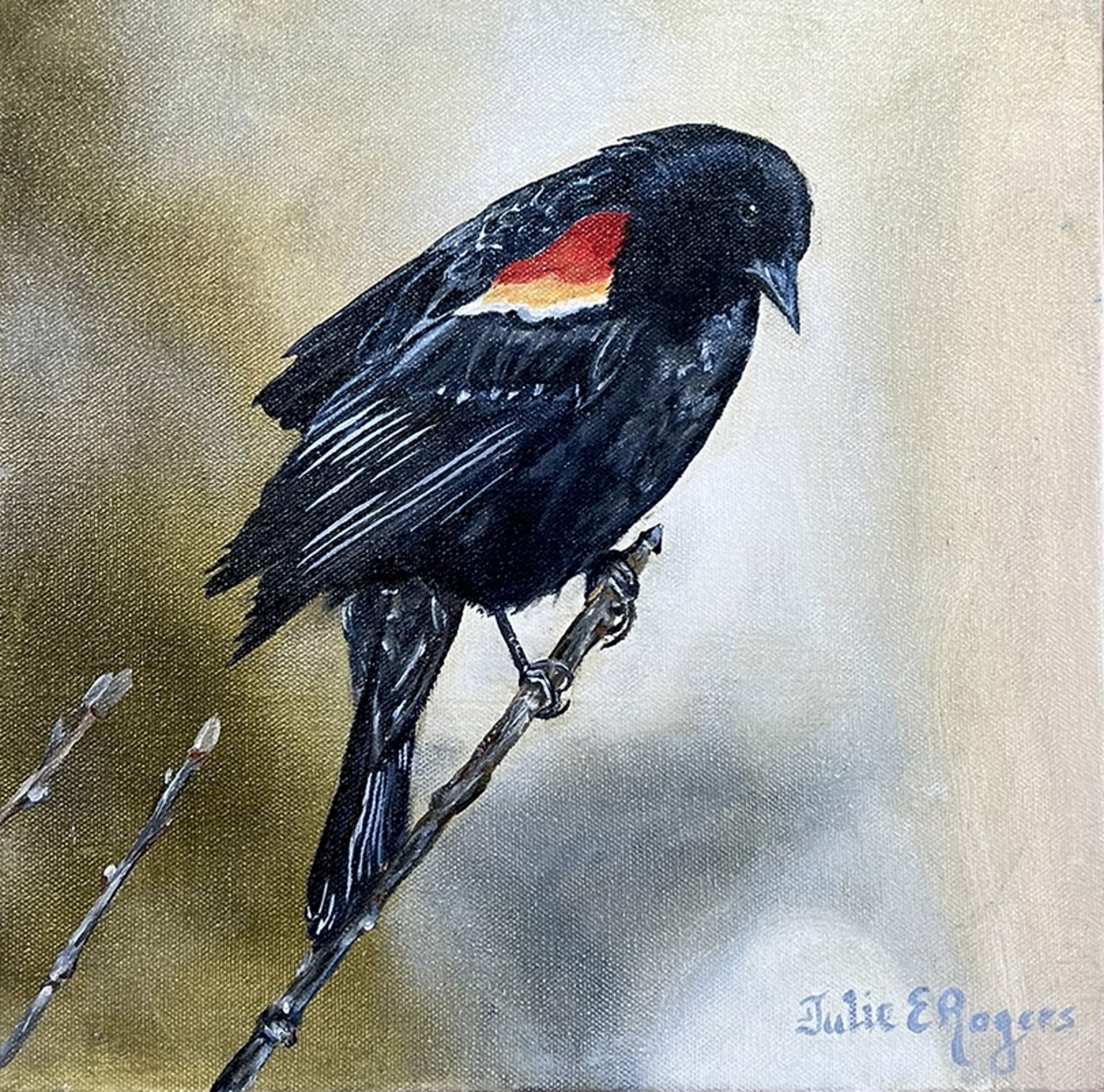 Red Wing Black Bird by Julie Rogers