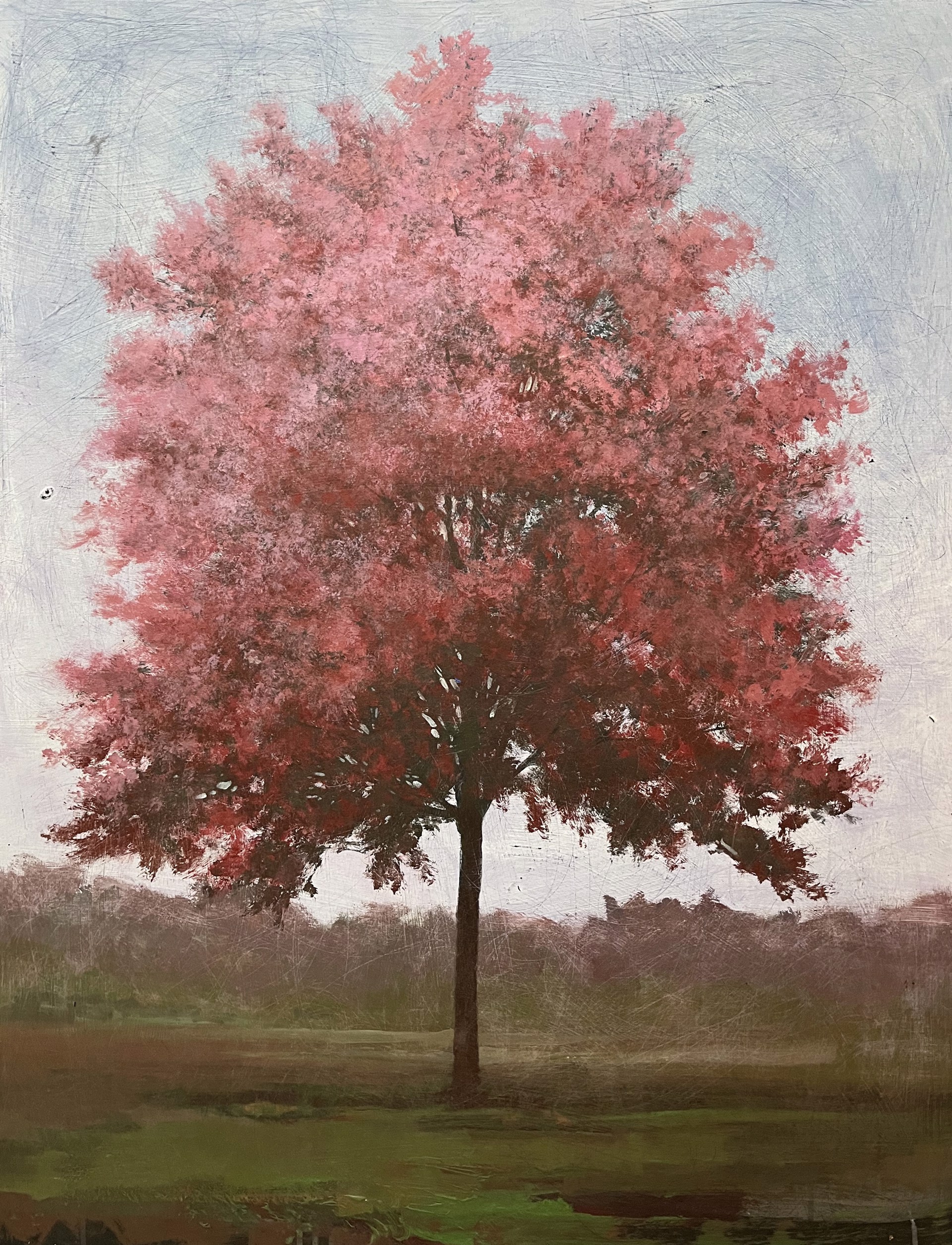 Eastern Redbud by Peter Hoffer