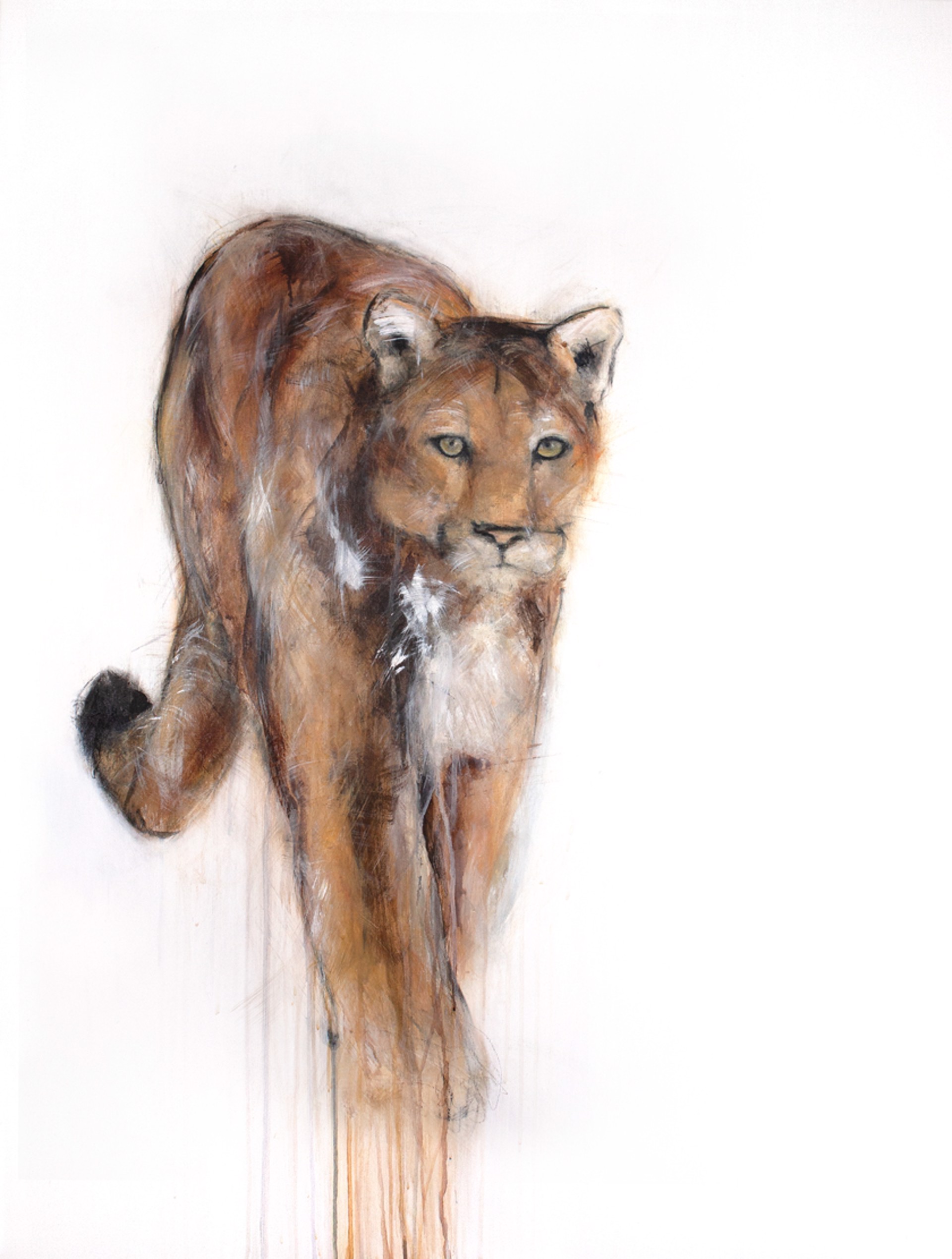 Cougar IV by Myriam Rousseau