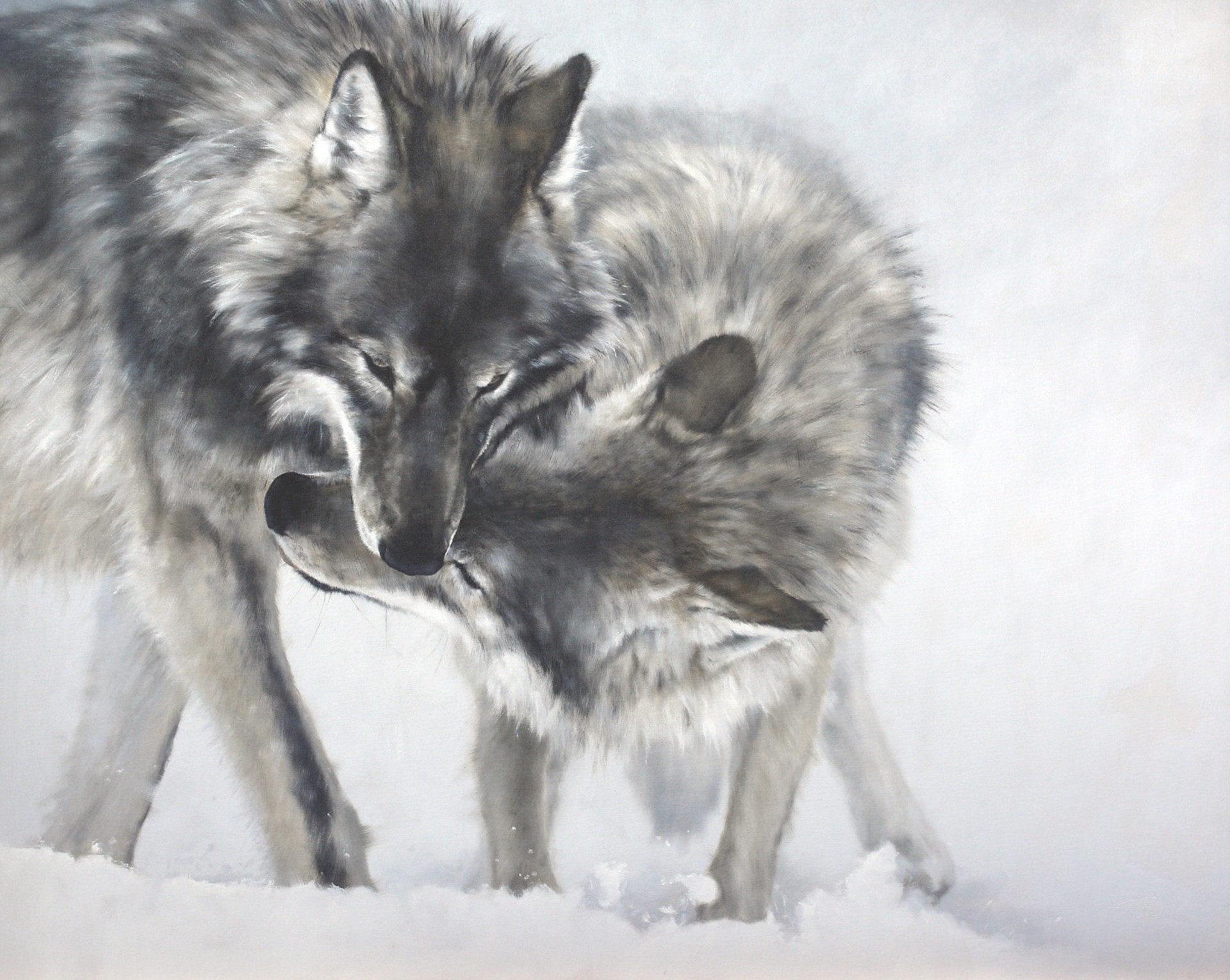 Oil Painting By Doyle Hostetler Of Two Gray Wolves Playing And Greeting Each Other 