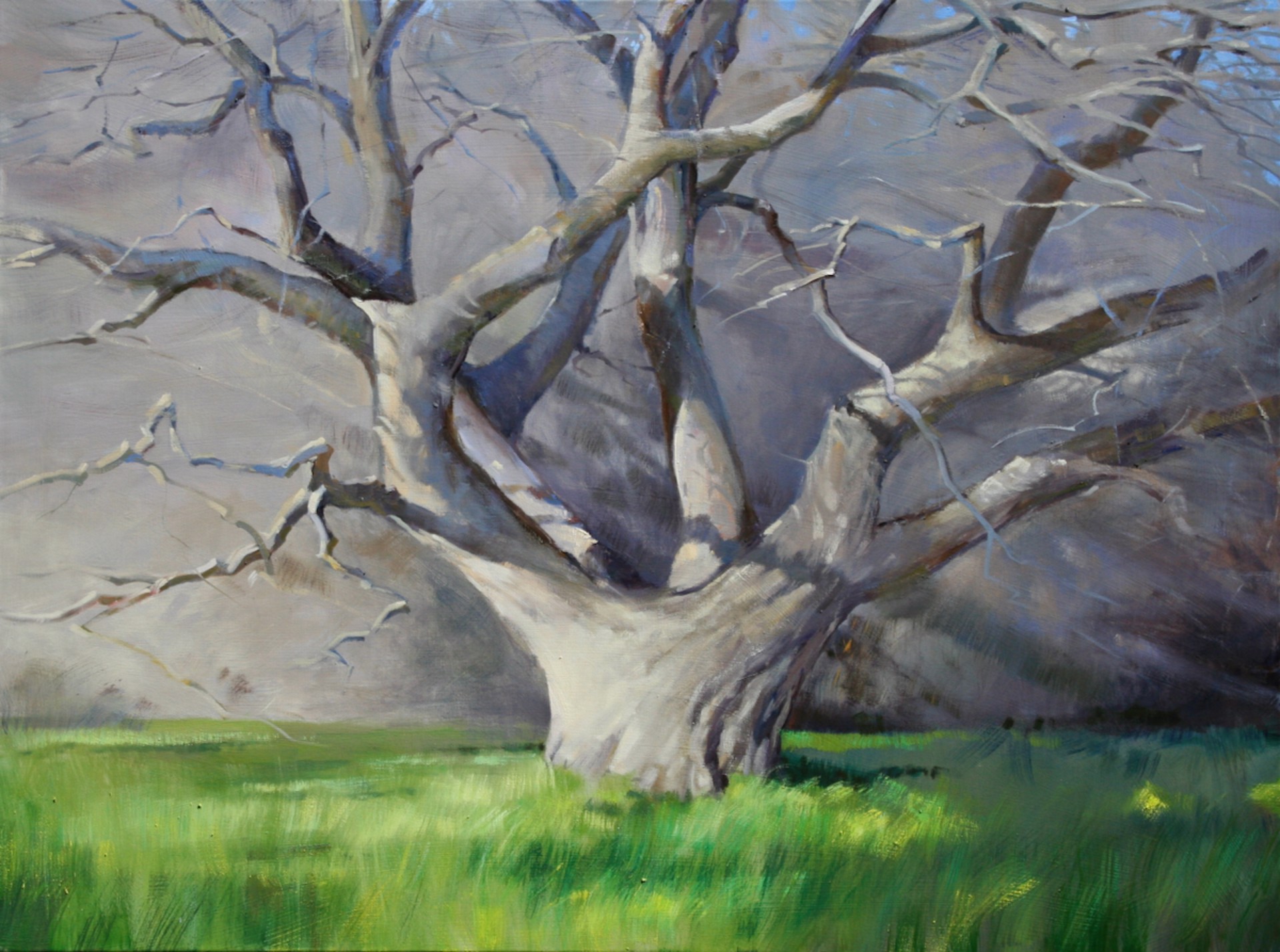Winter Oak by Dennis Stanford
