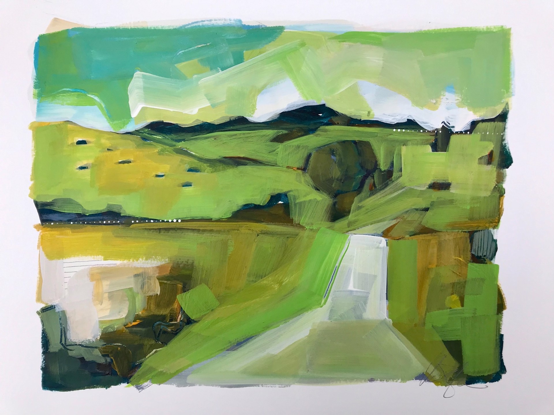 Pasture Near Annascaul by Rachael Van Dyke