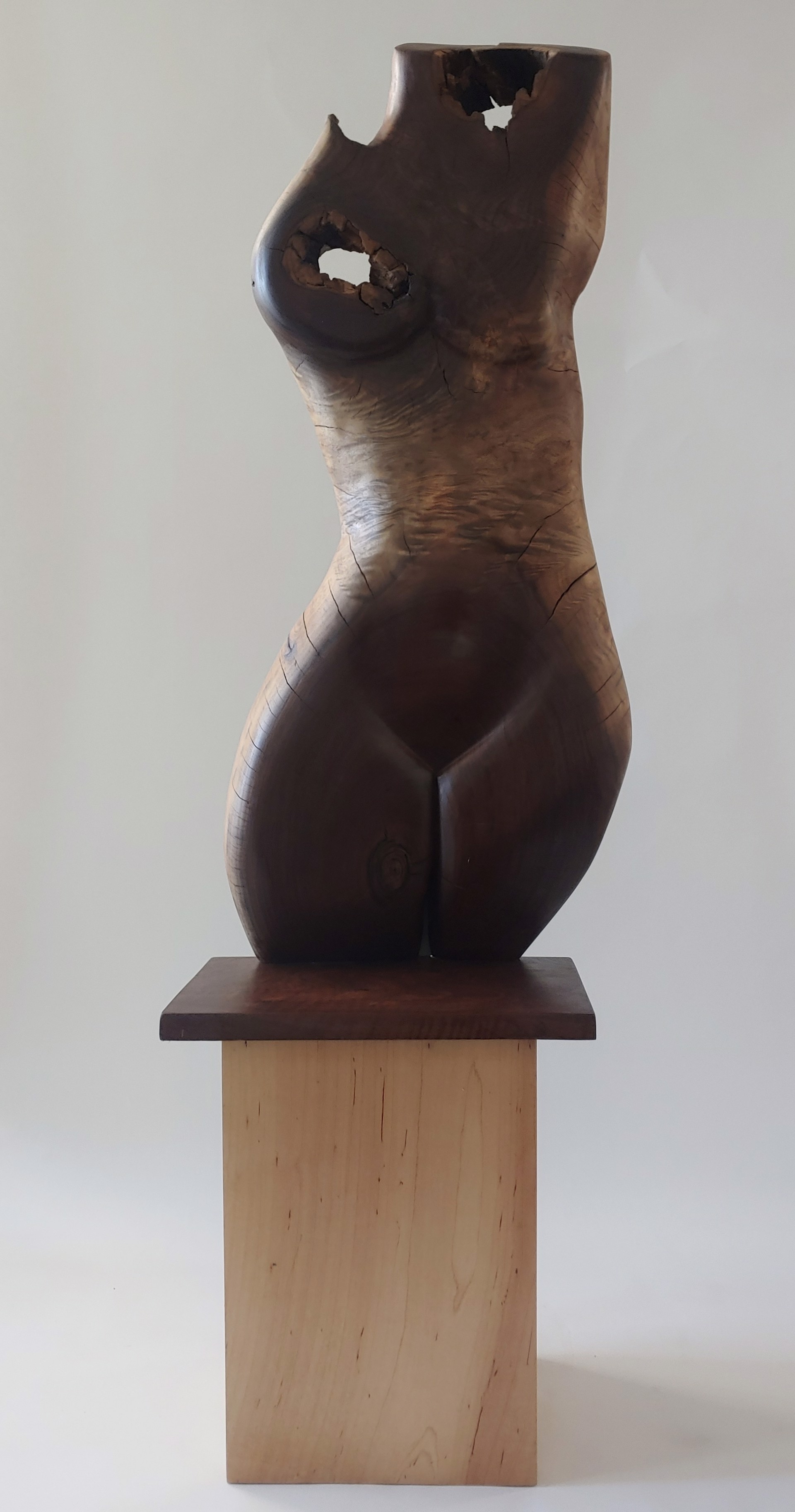 Torso #1 - Wood Sculpture by David Amdur