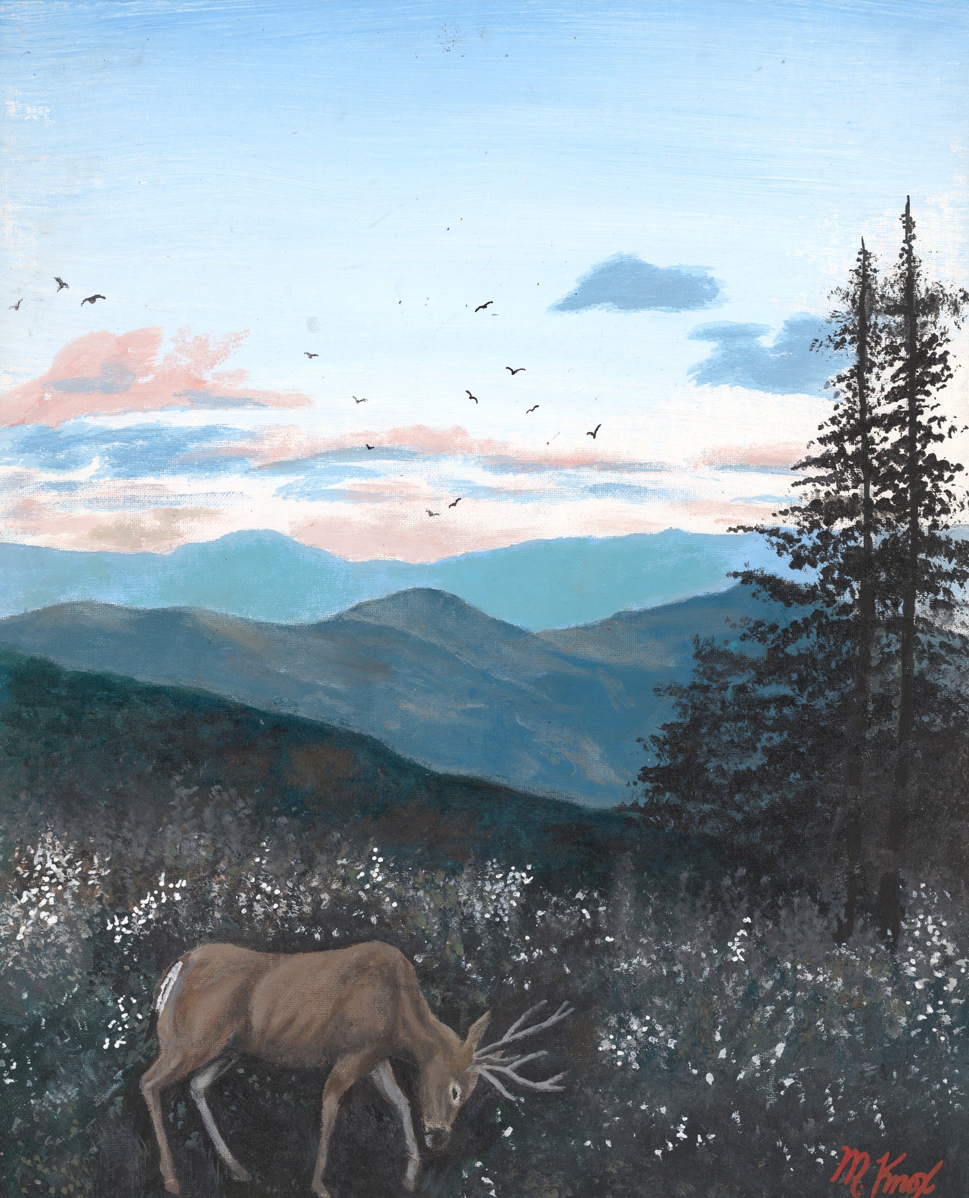 Appalachian Mountains by Mike Knox