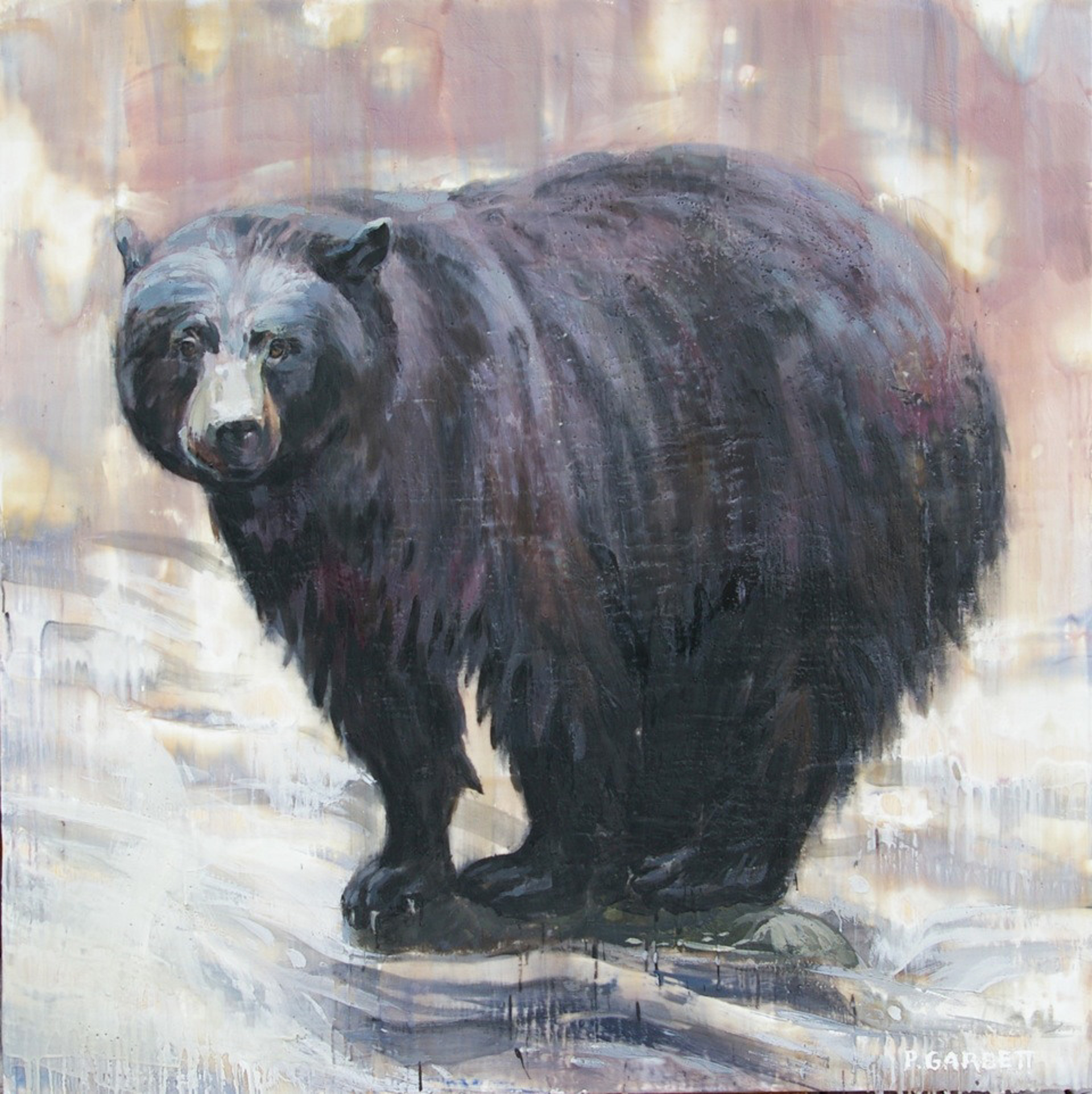 Black Bear 57-16 by Paul Garbett