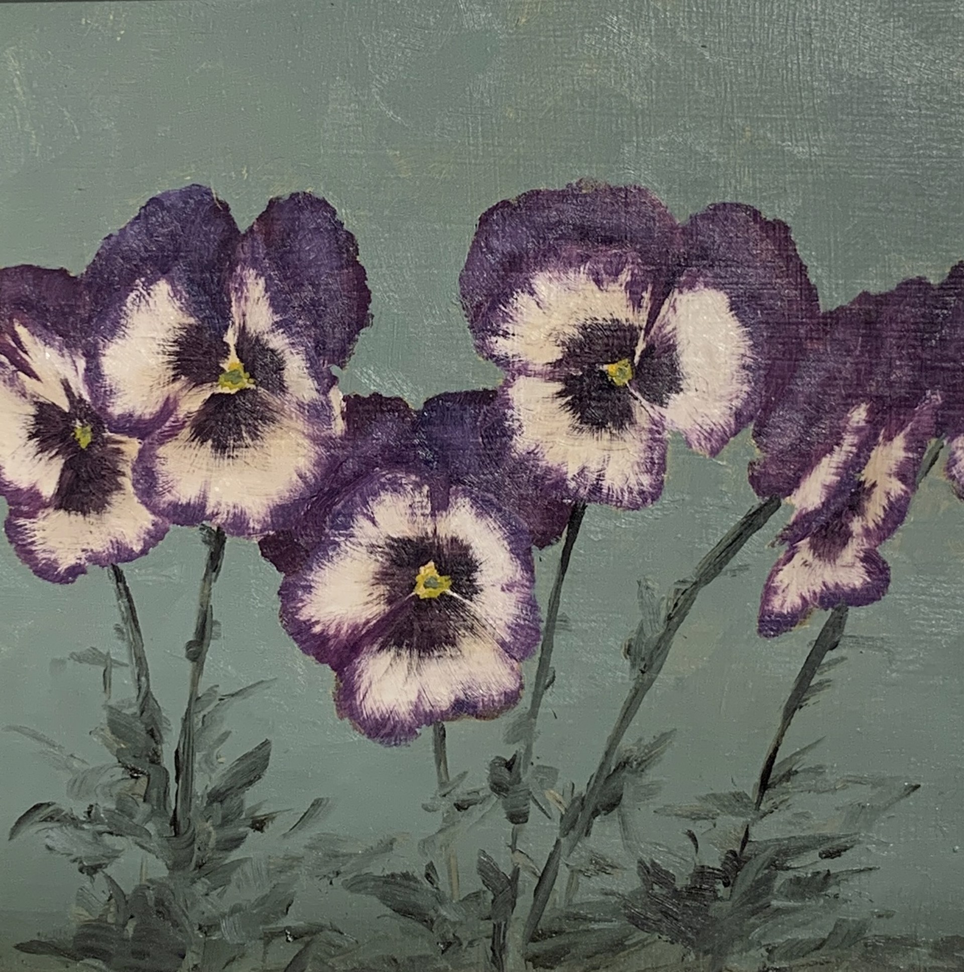 Pansies by Gregory Smith
