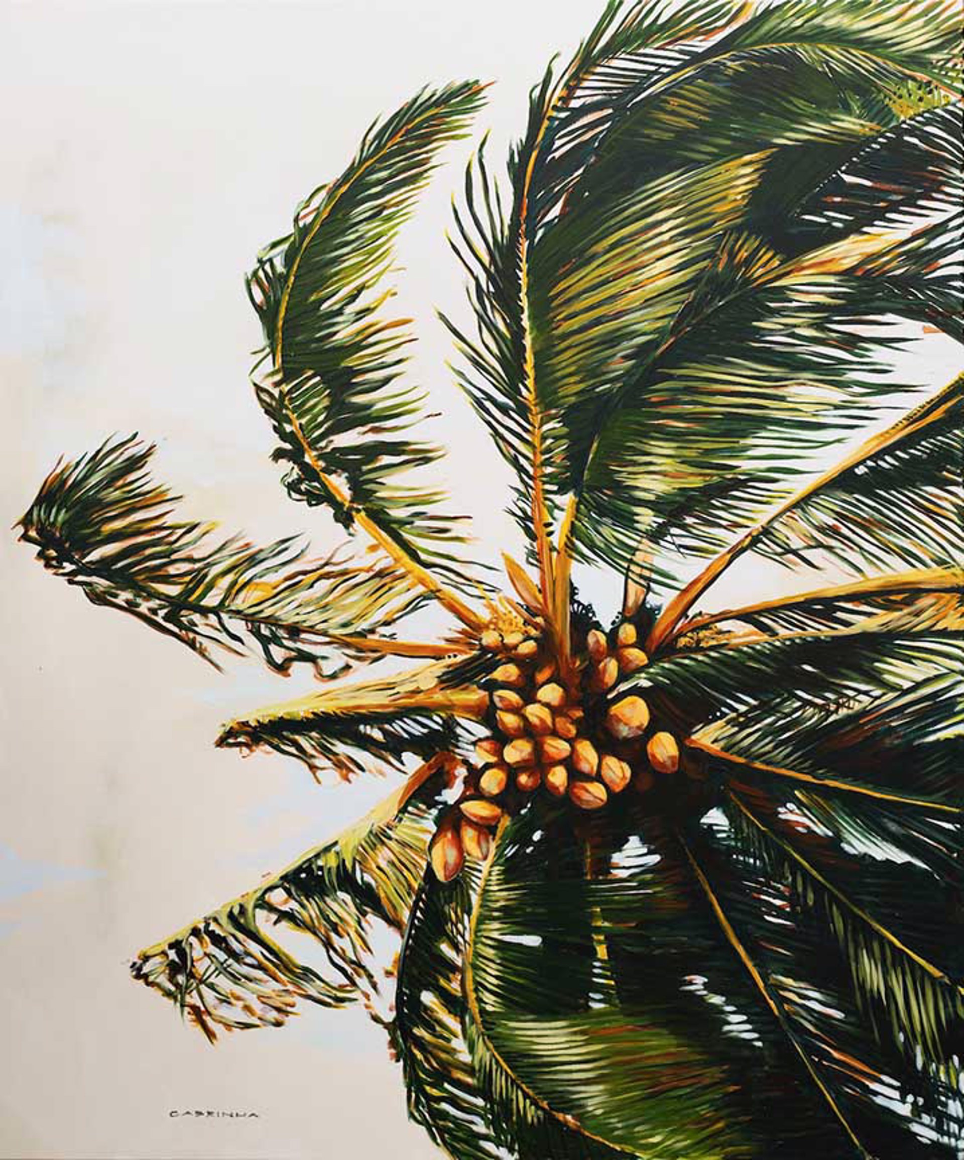 Wind Blown Palm by Pete Cabrinha
