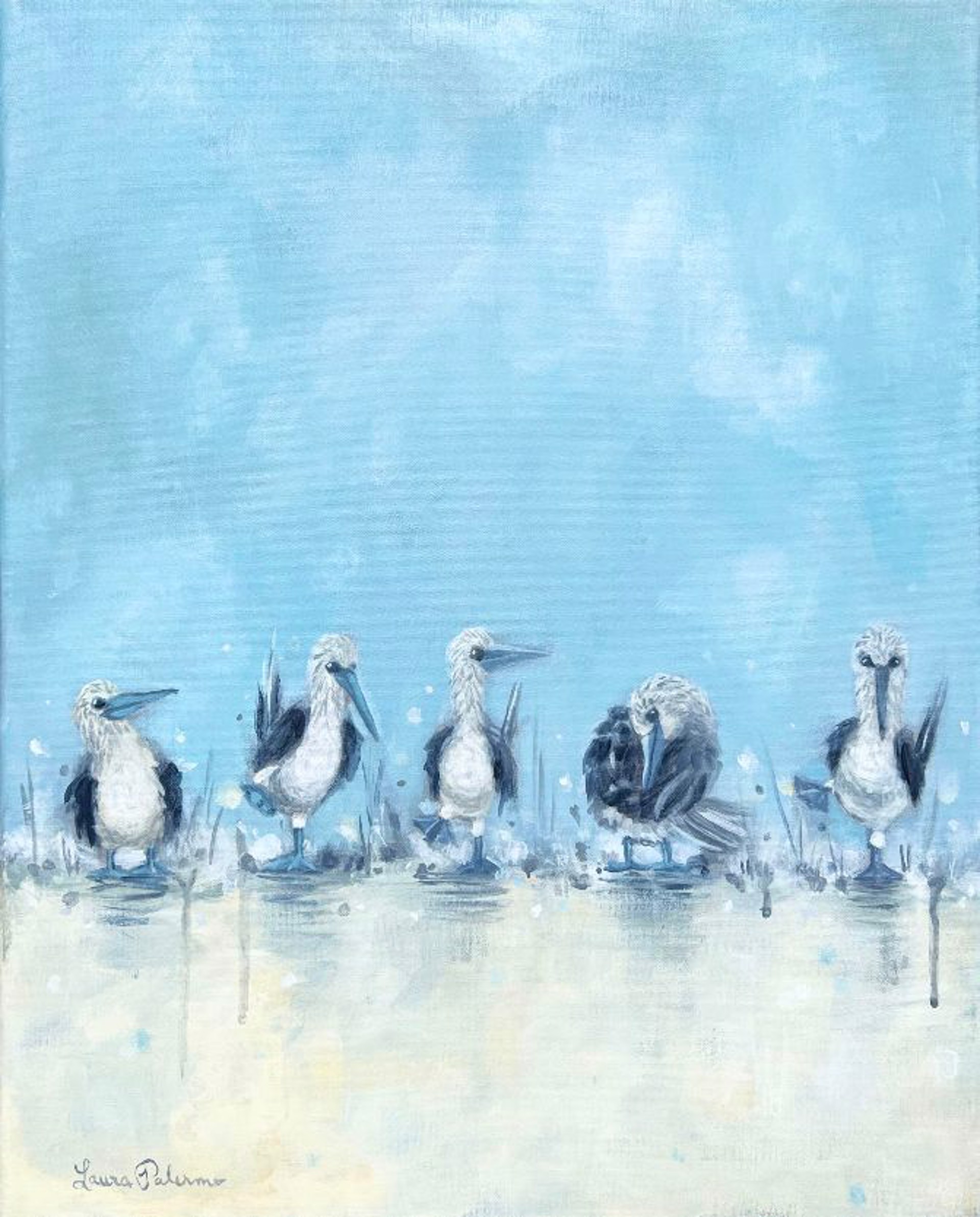 Blue Footed Boobies by Laura Palermo
