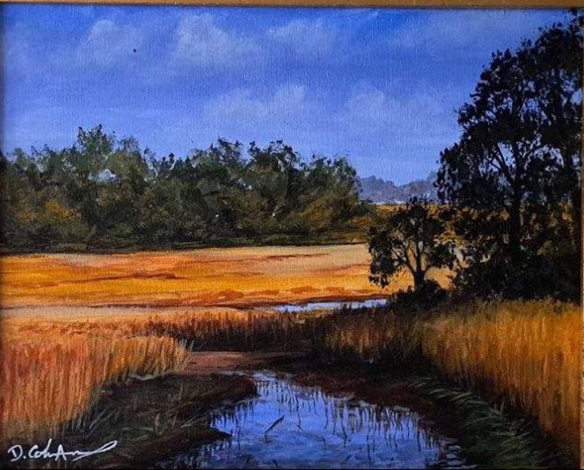 Marsh Bend by Dana Coleman