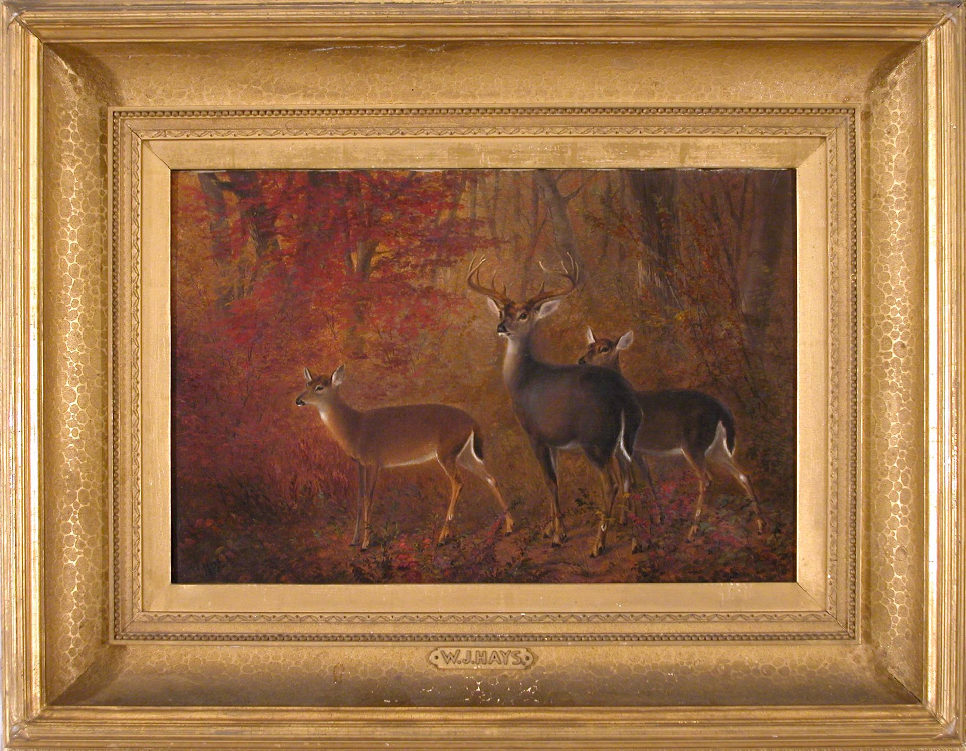 American Deer, Autumn by William Jacob Hays Sr.