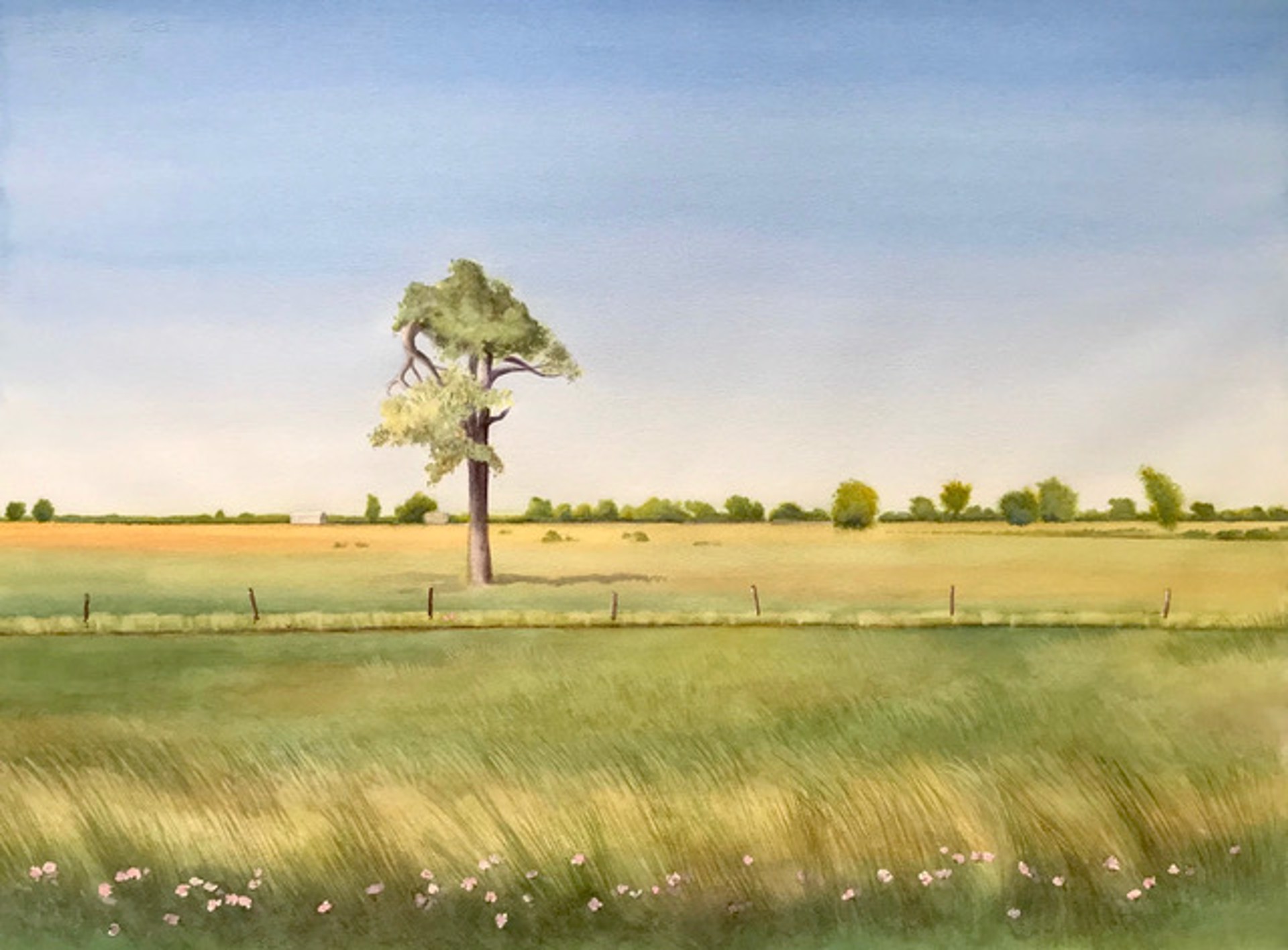 Pine Tree And Buttercups, Chambers County by Ken Mazzu