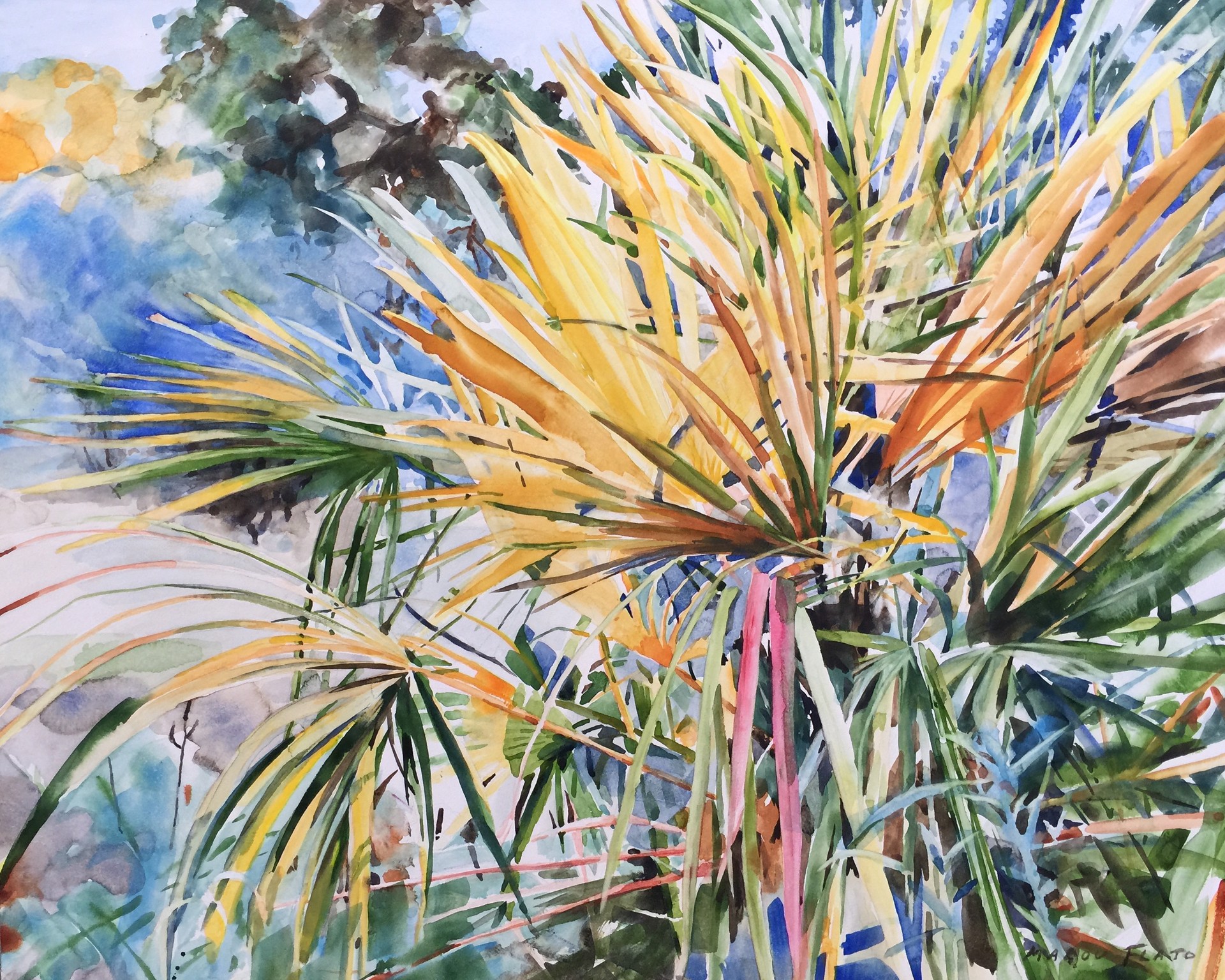 Needle Palm by Malou Flato