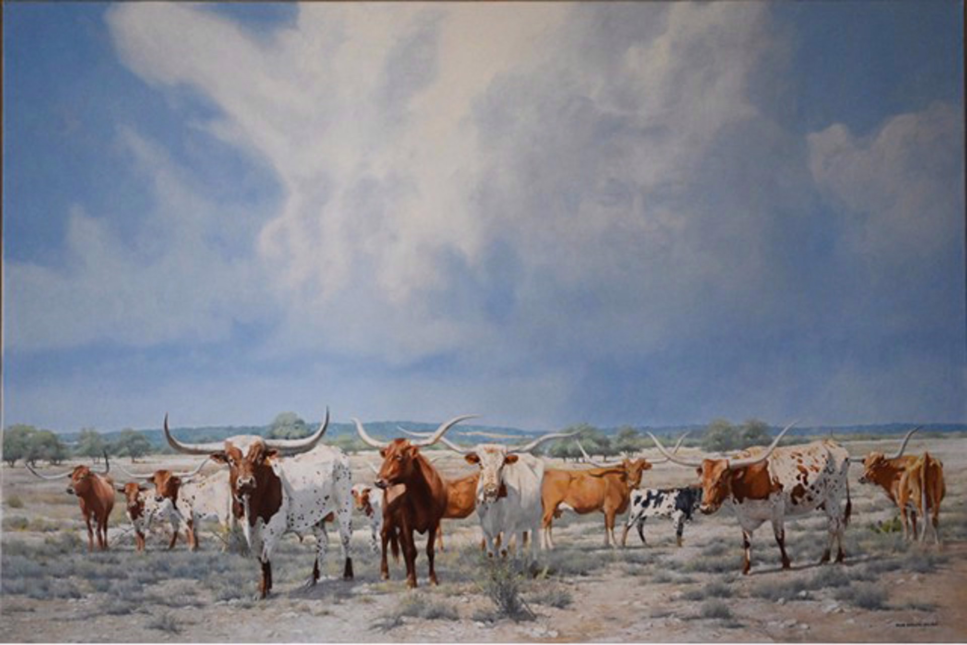 Y.O. Heritage Herd by Kim Donaldson