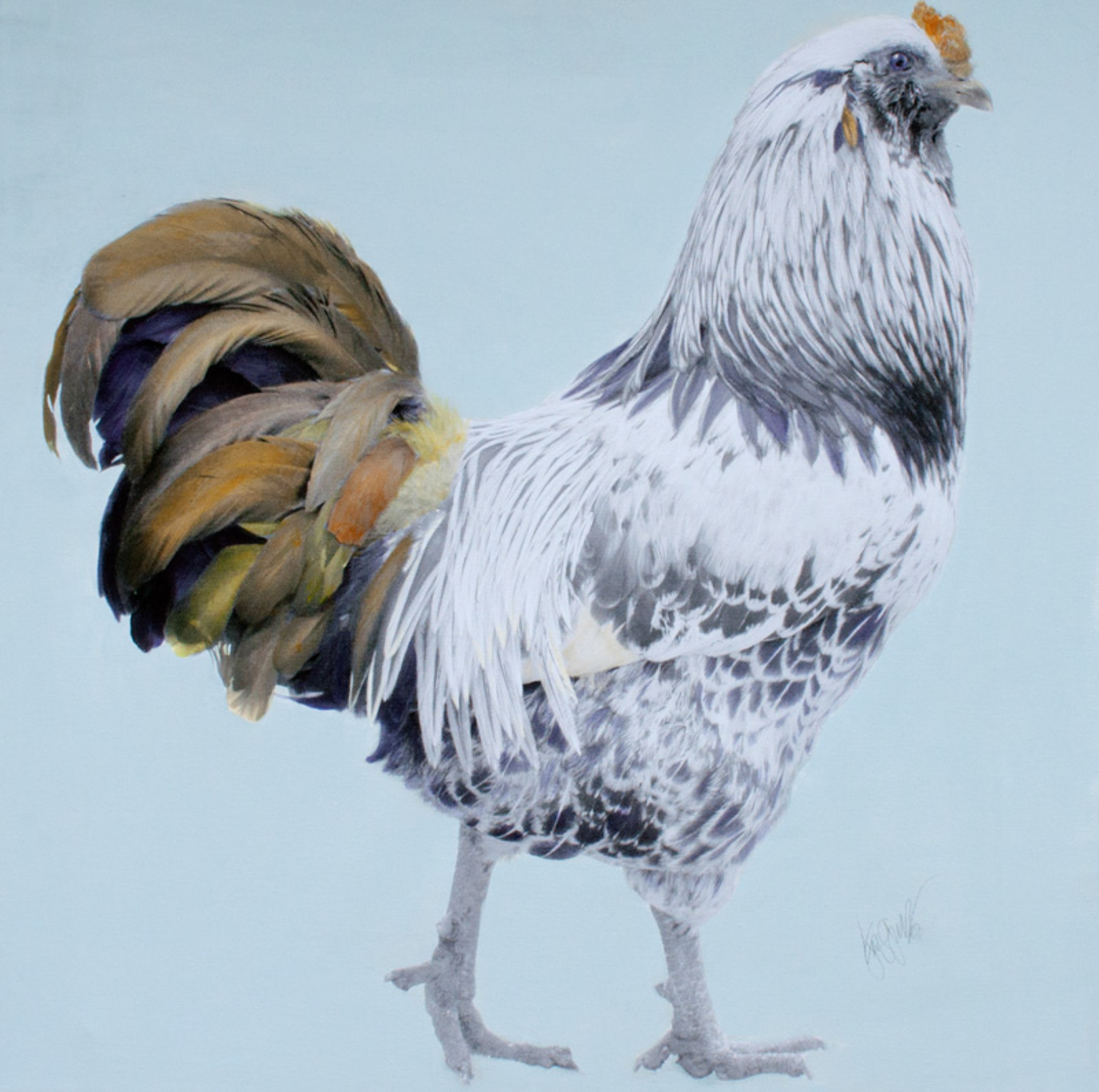 Rooster 5R by Jenny Gummersall