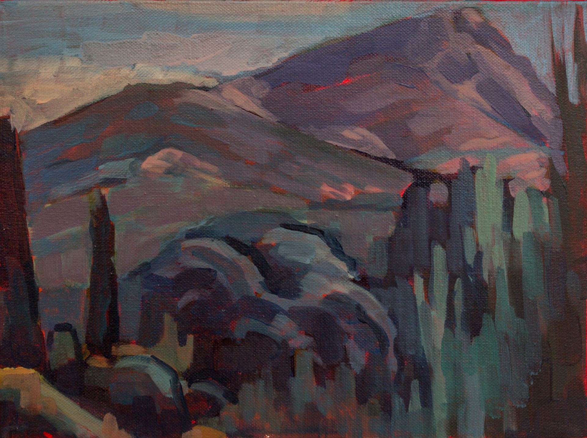 Cezanne's Mountain by Nina Weiss