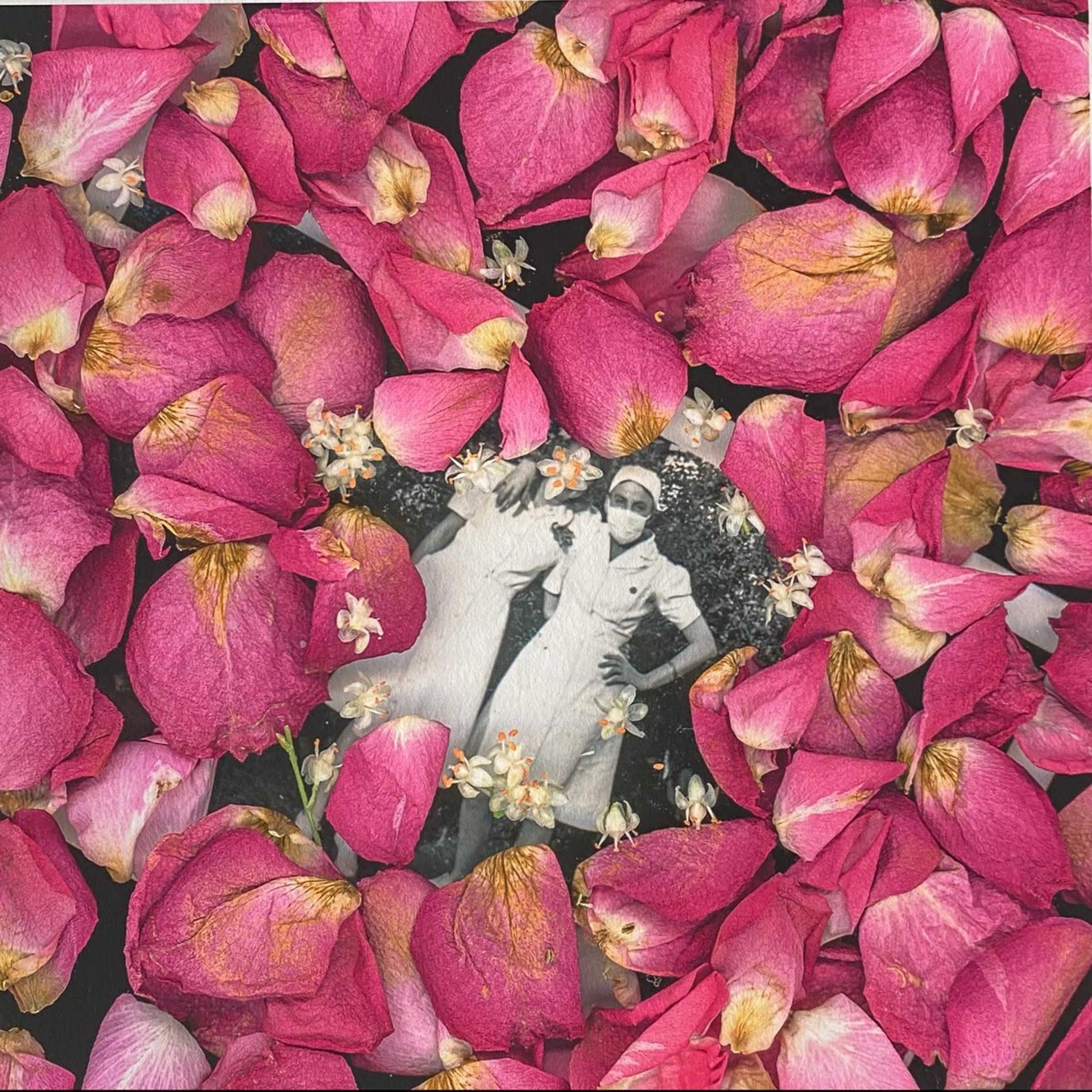Rose Petal Wreath by Karen Bullock