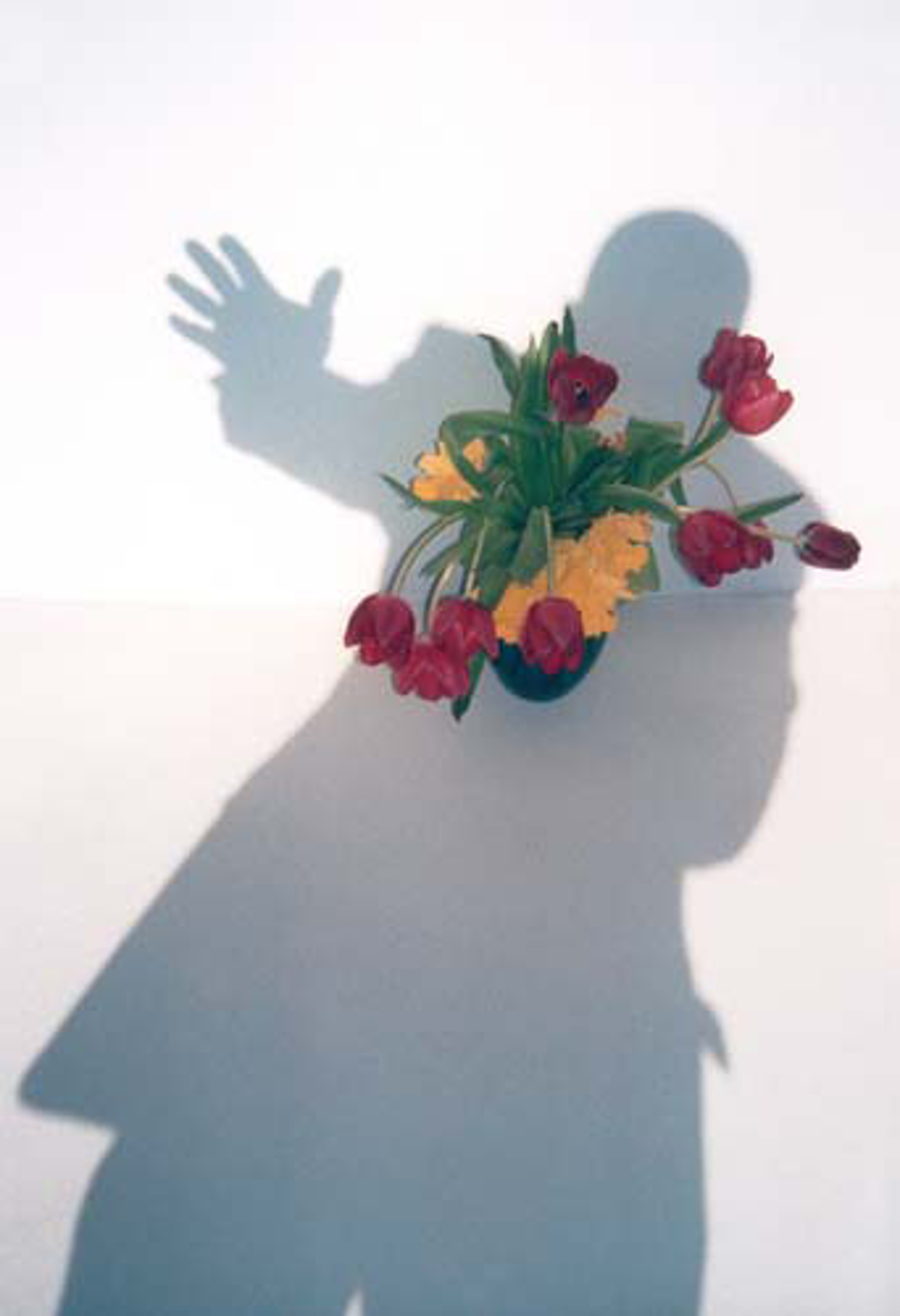 Self-Portrait Shadow Series - "Take My Hand, I'm A Stranger in Paradise" by David Barnett