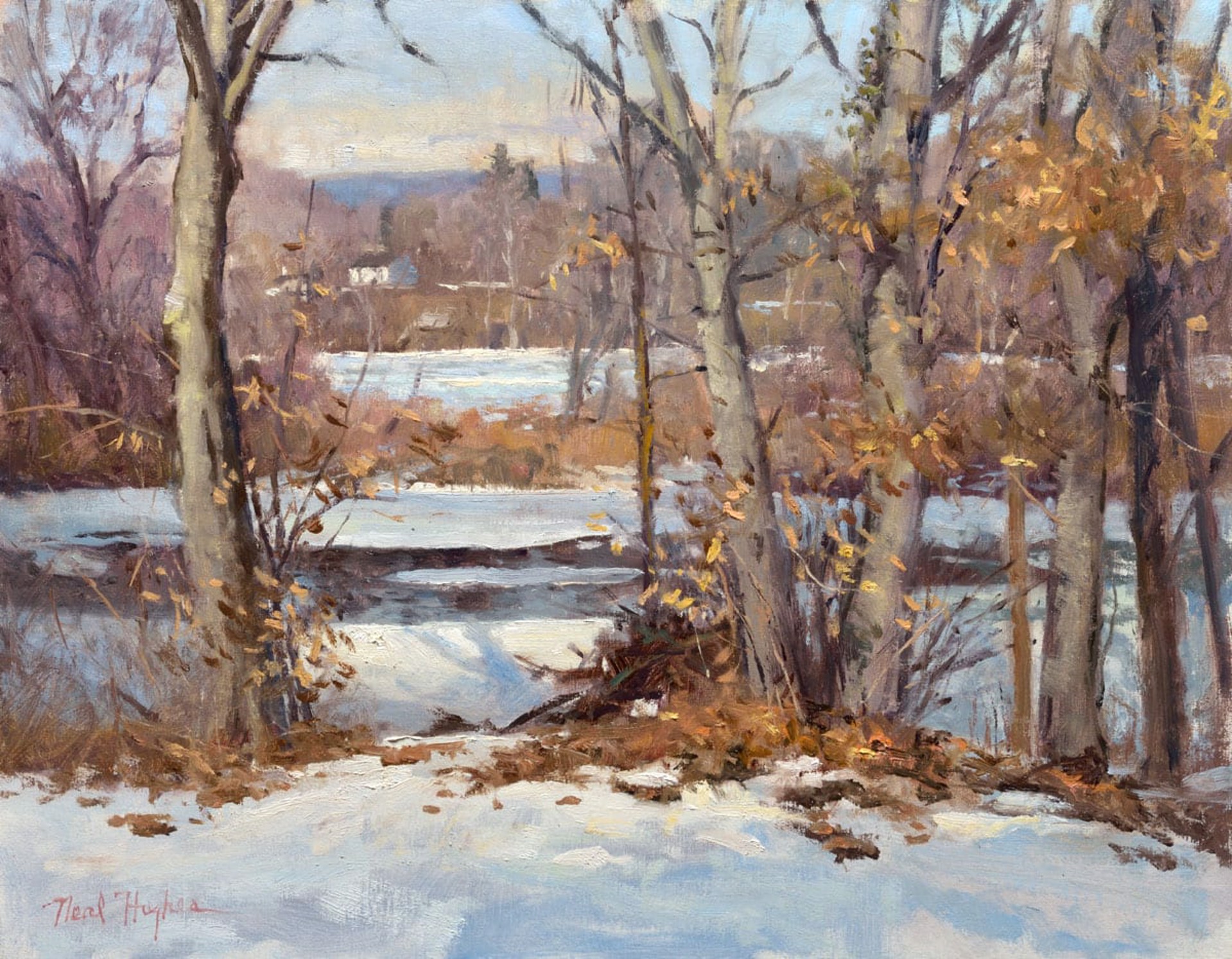 River Snow by Neal Hughes