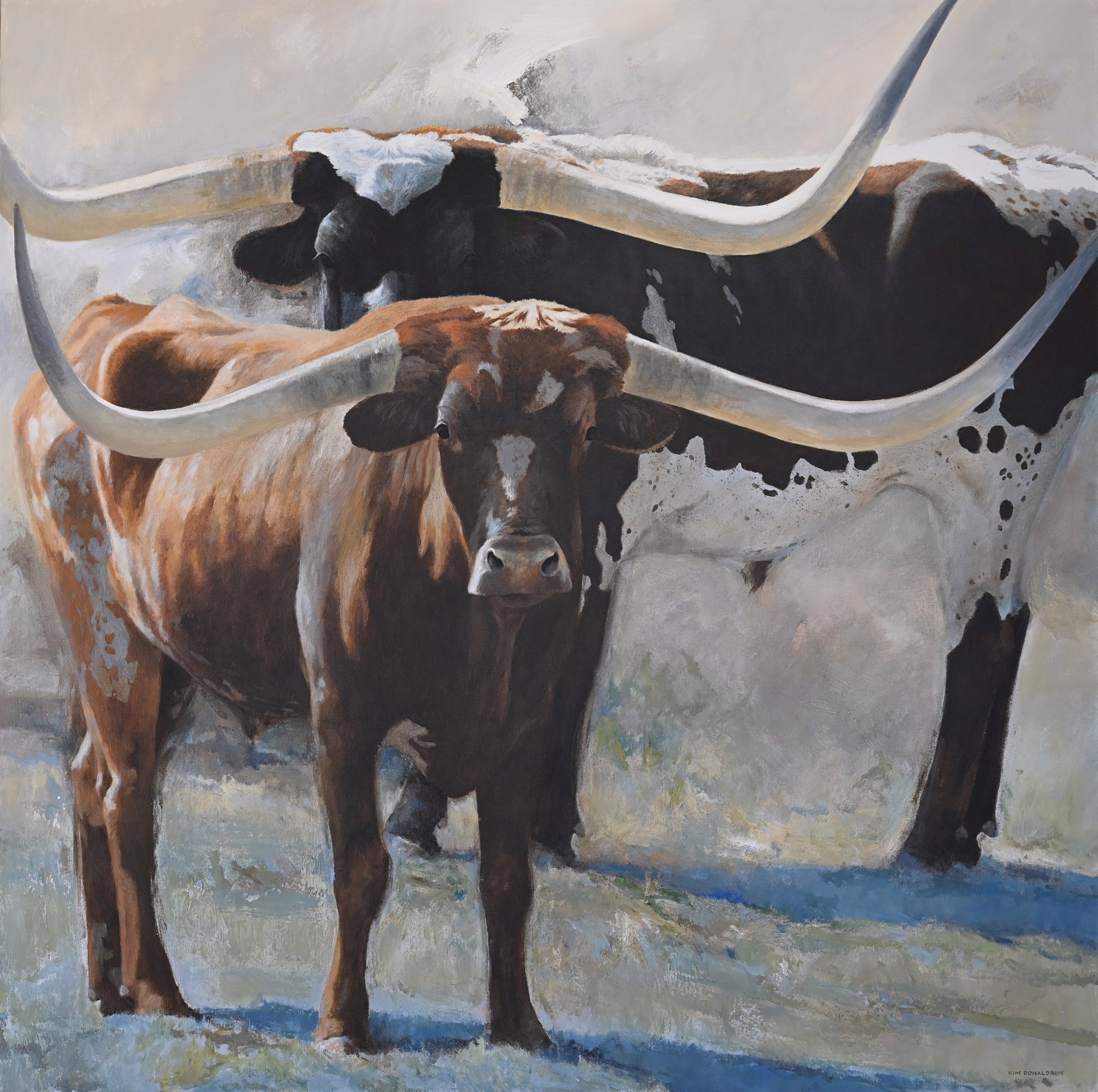 Y.O. Steers by Kim Donaldson