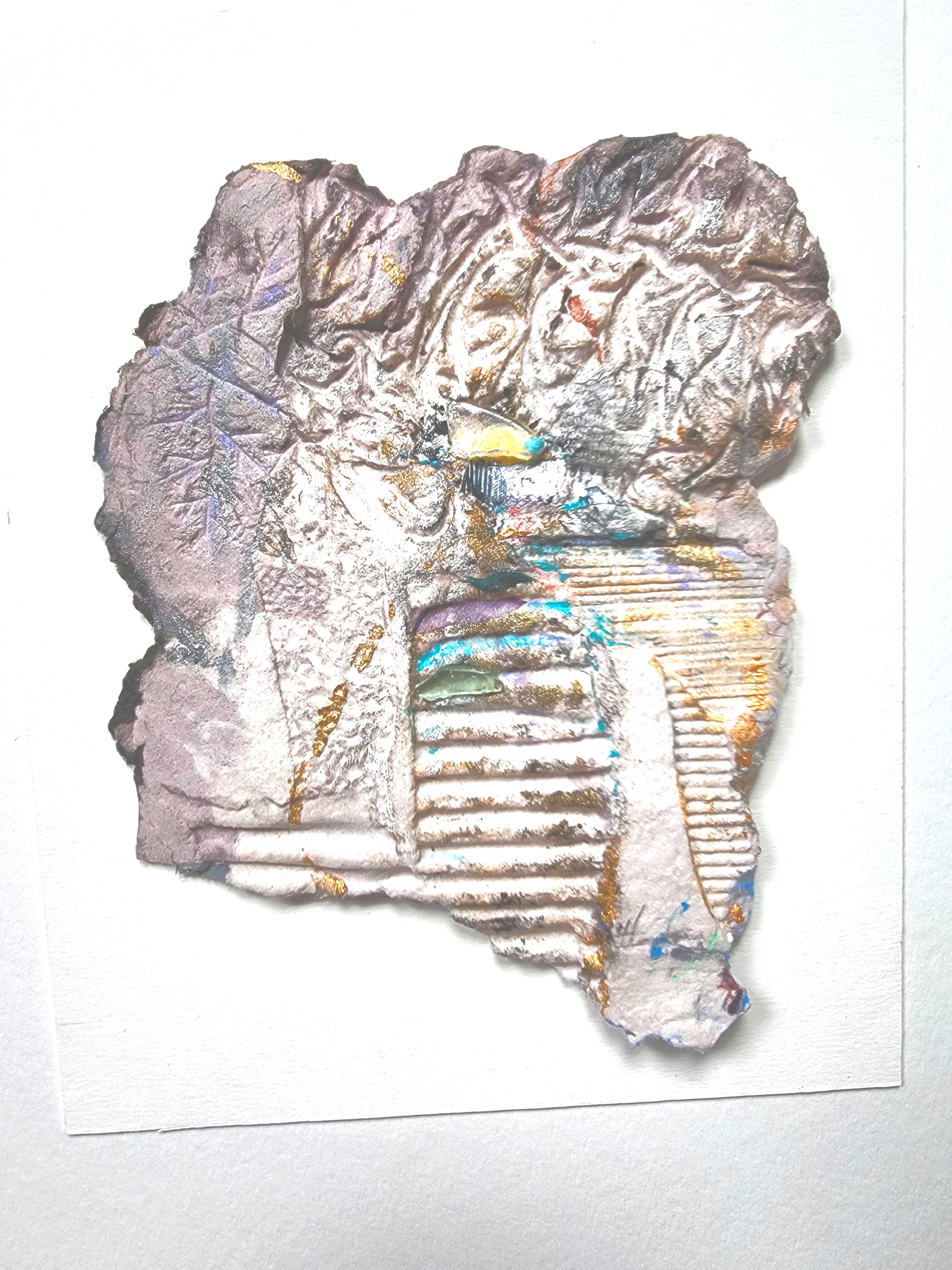Fossil Fantasies by Rebecca Humphrey