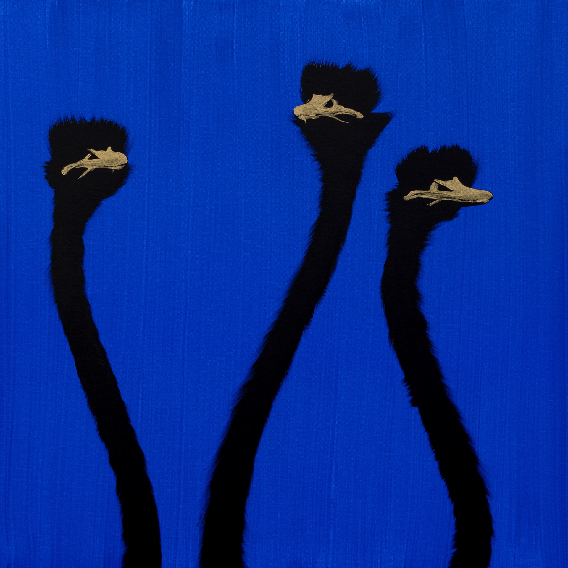 Three Gold Ostrich on Ultramarine by Josh Brown