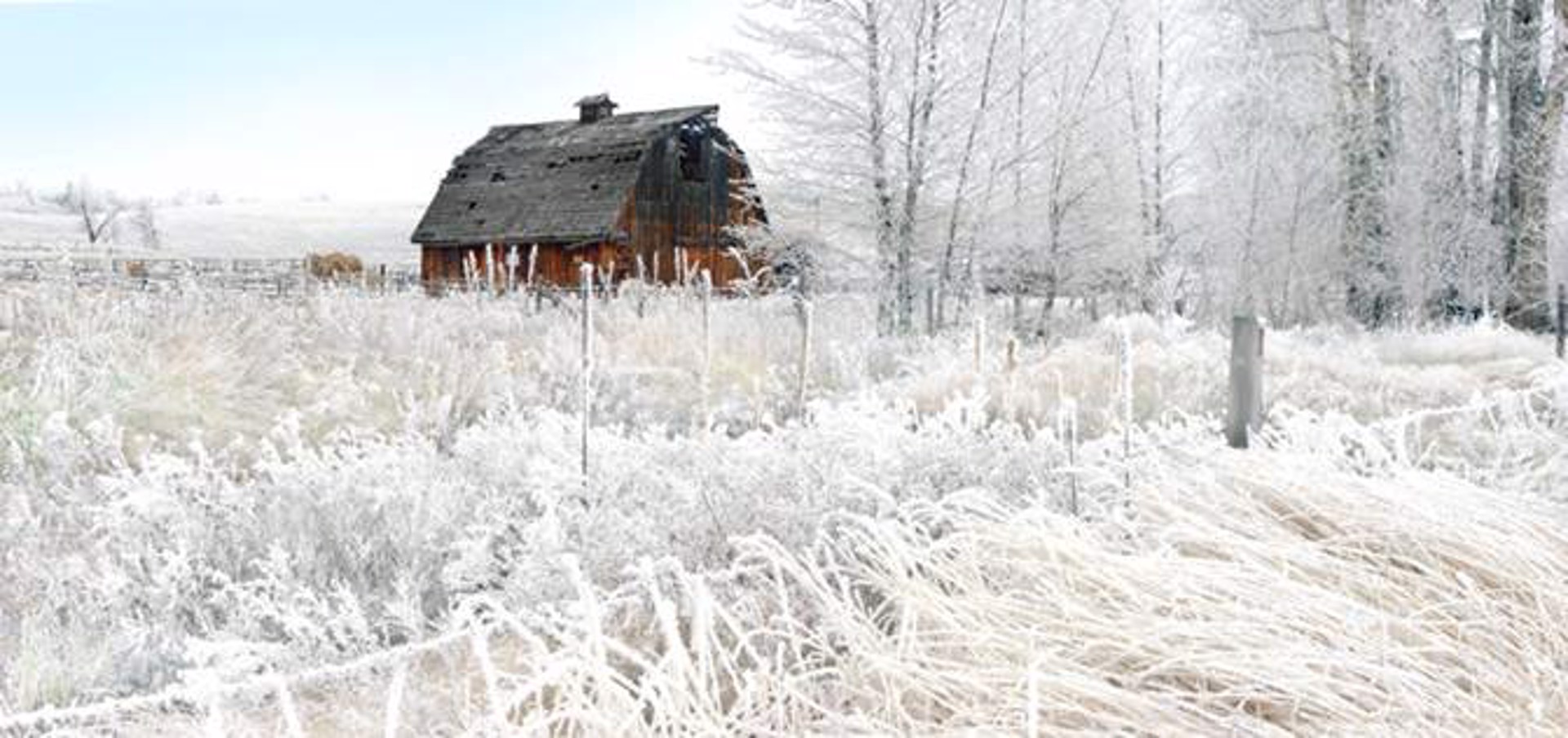 Barn and Hoar Frost by Pete Ramberg